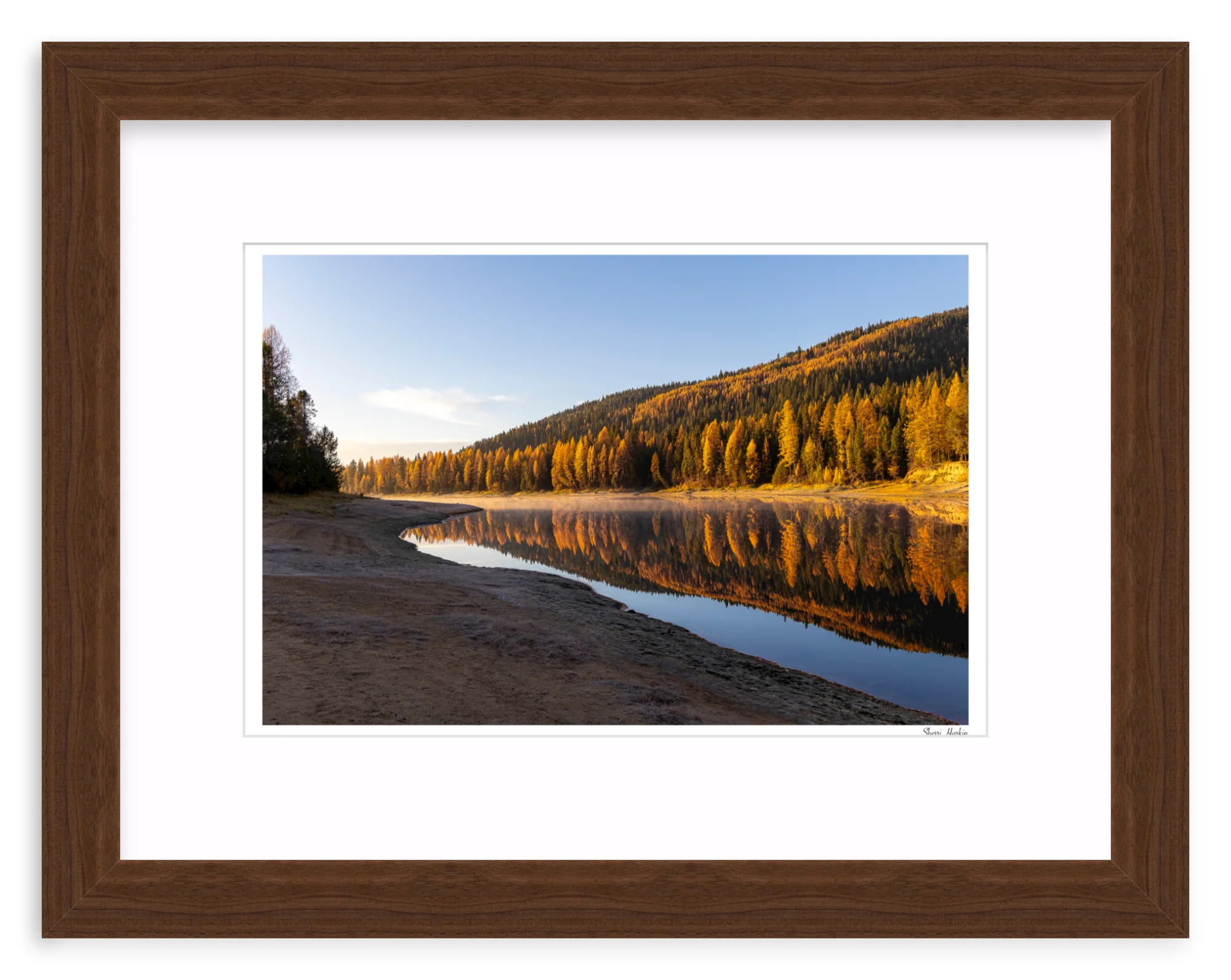 Tamarack Grove Reflection - Image 7