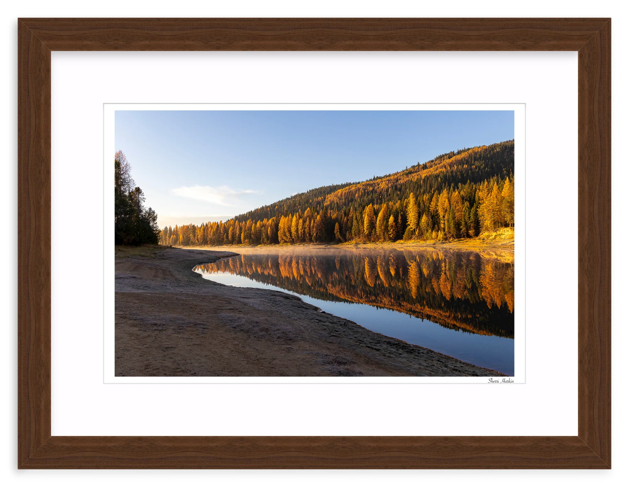 Tamarack Grove Reflection - Image 8