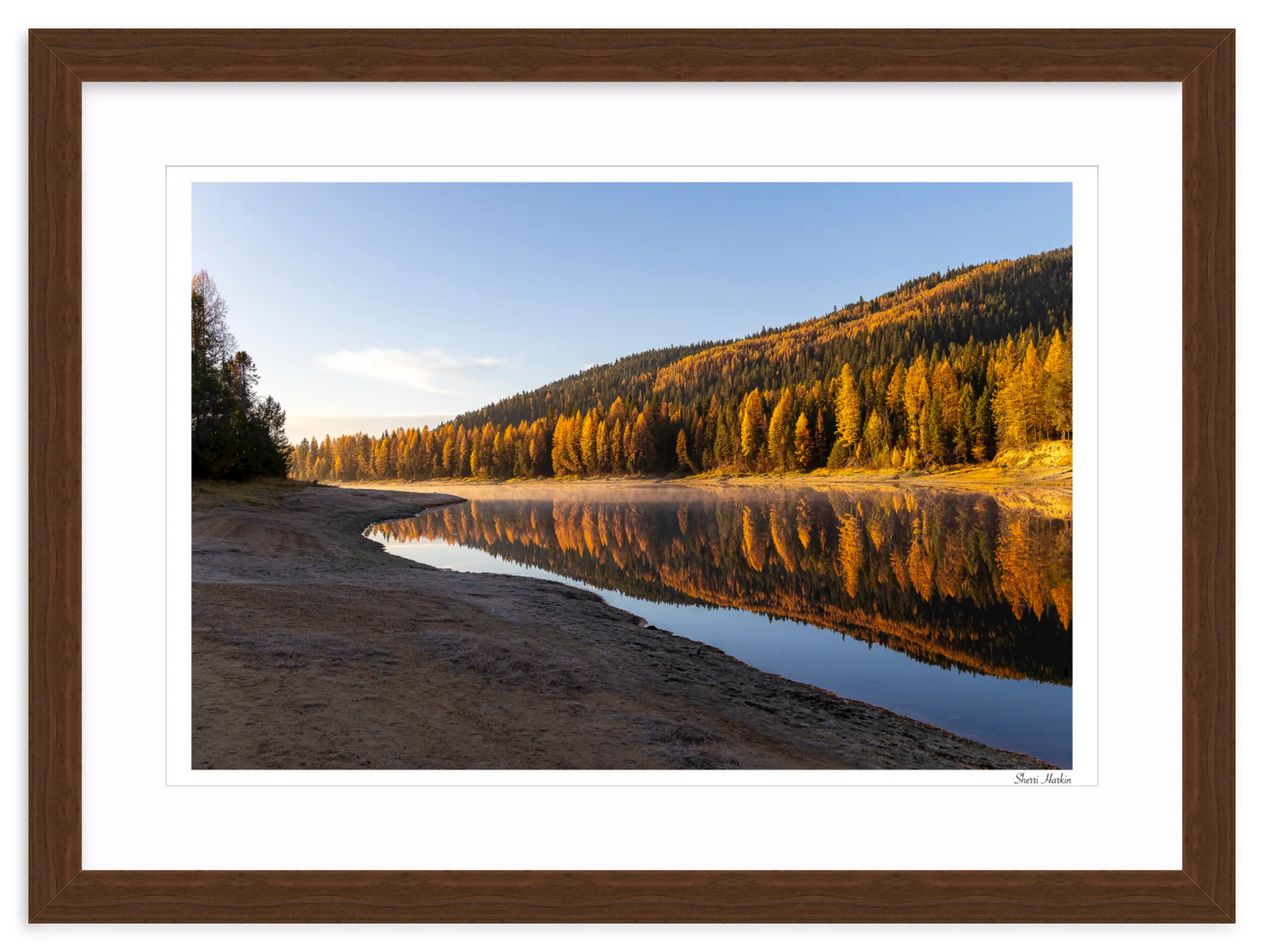 Tamarack Grove Reflection - Image 9