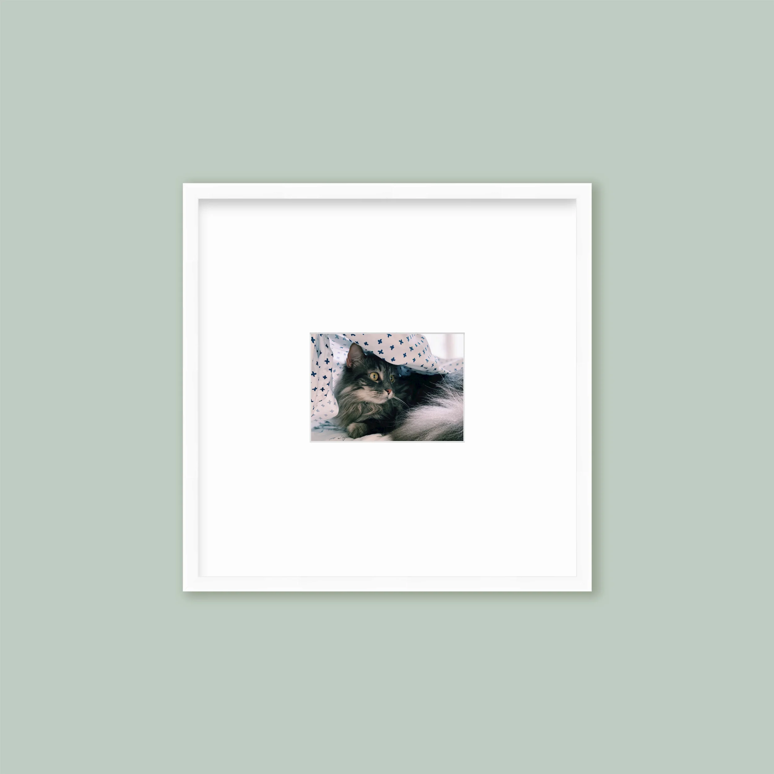 The Half Wall Grid: Single Frame - Image 4