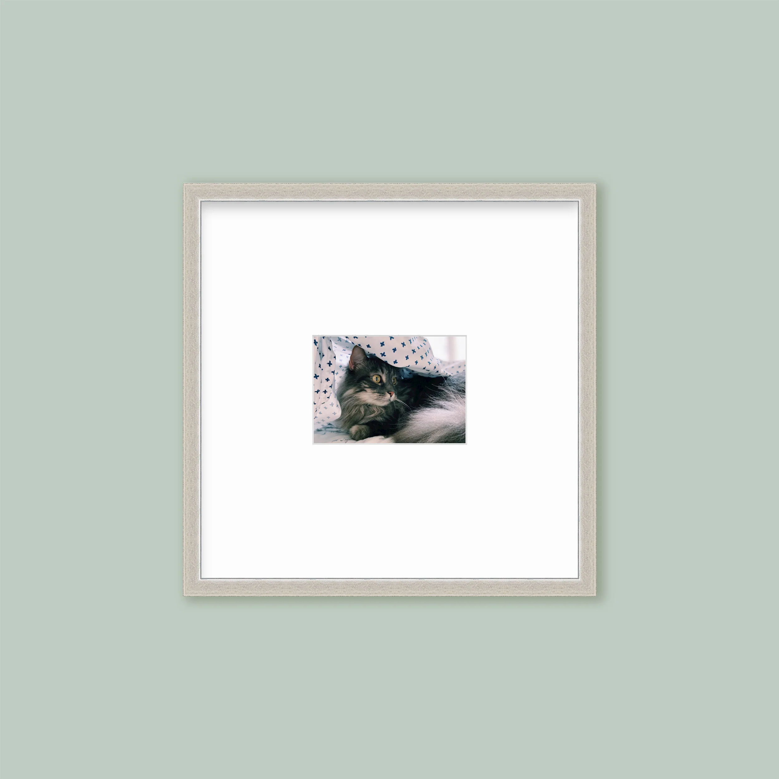 The Half Wall Grid: Single Frame - Image 5