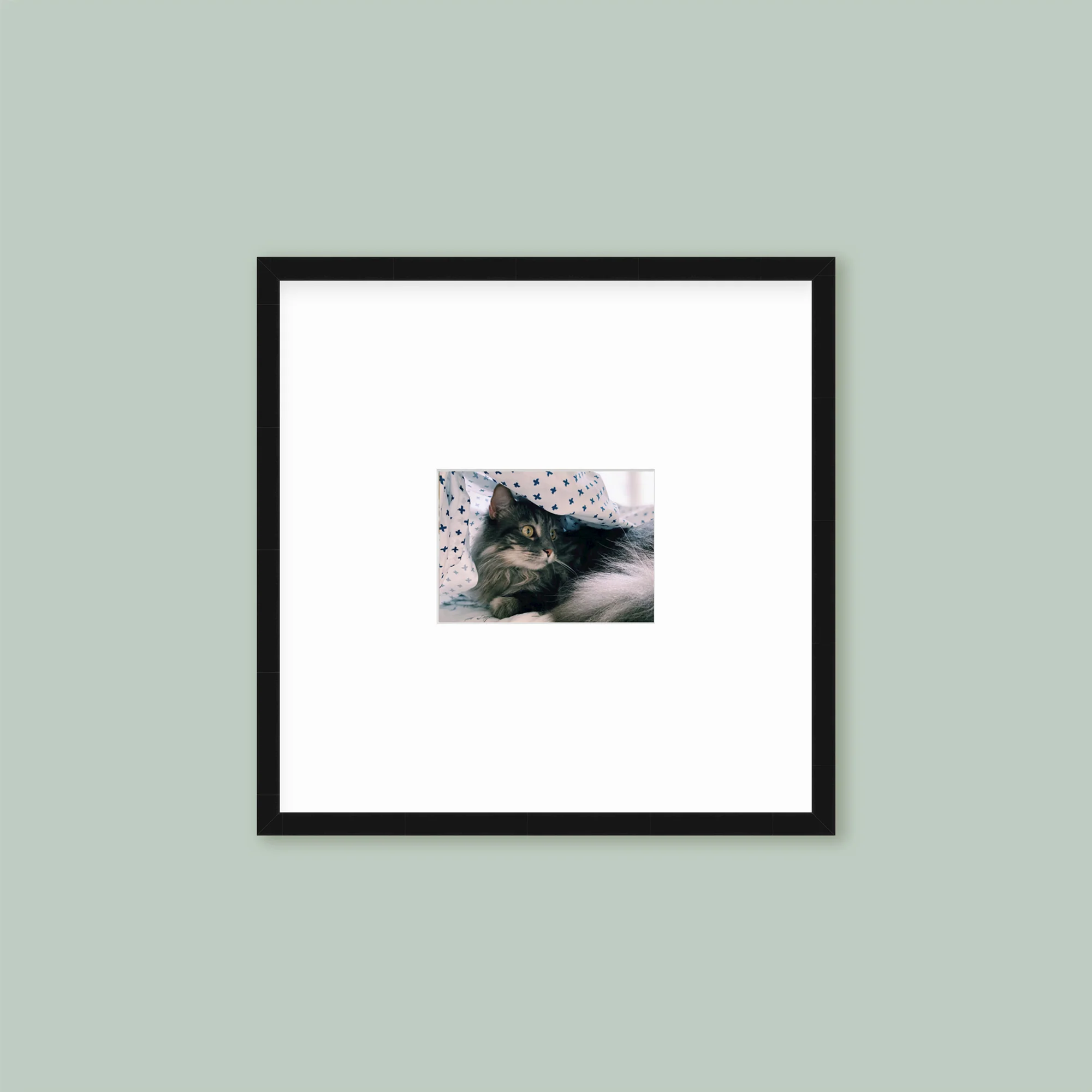 The Half Wall Grid: Single Frame - Image 6