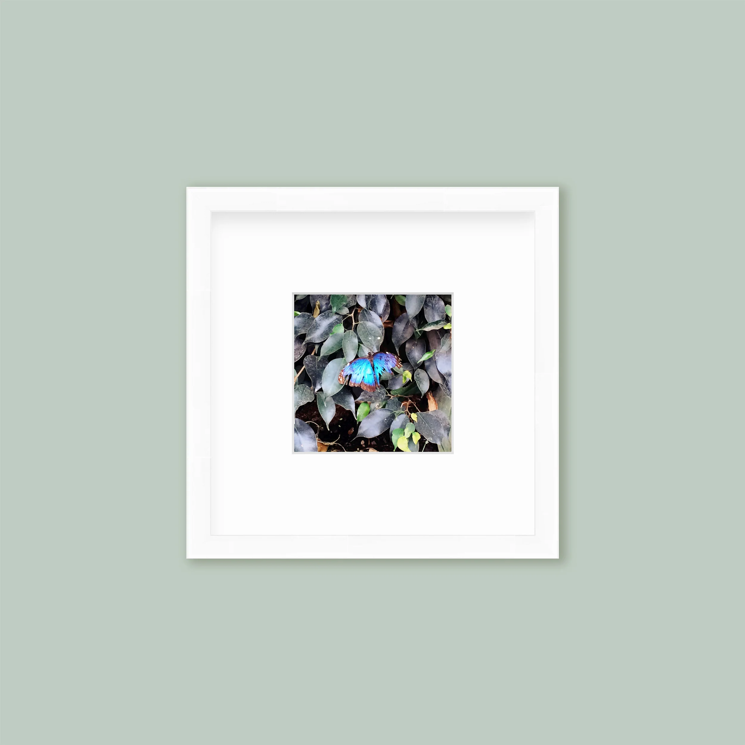 The Mini Tall: Single Frame - Image 4