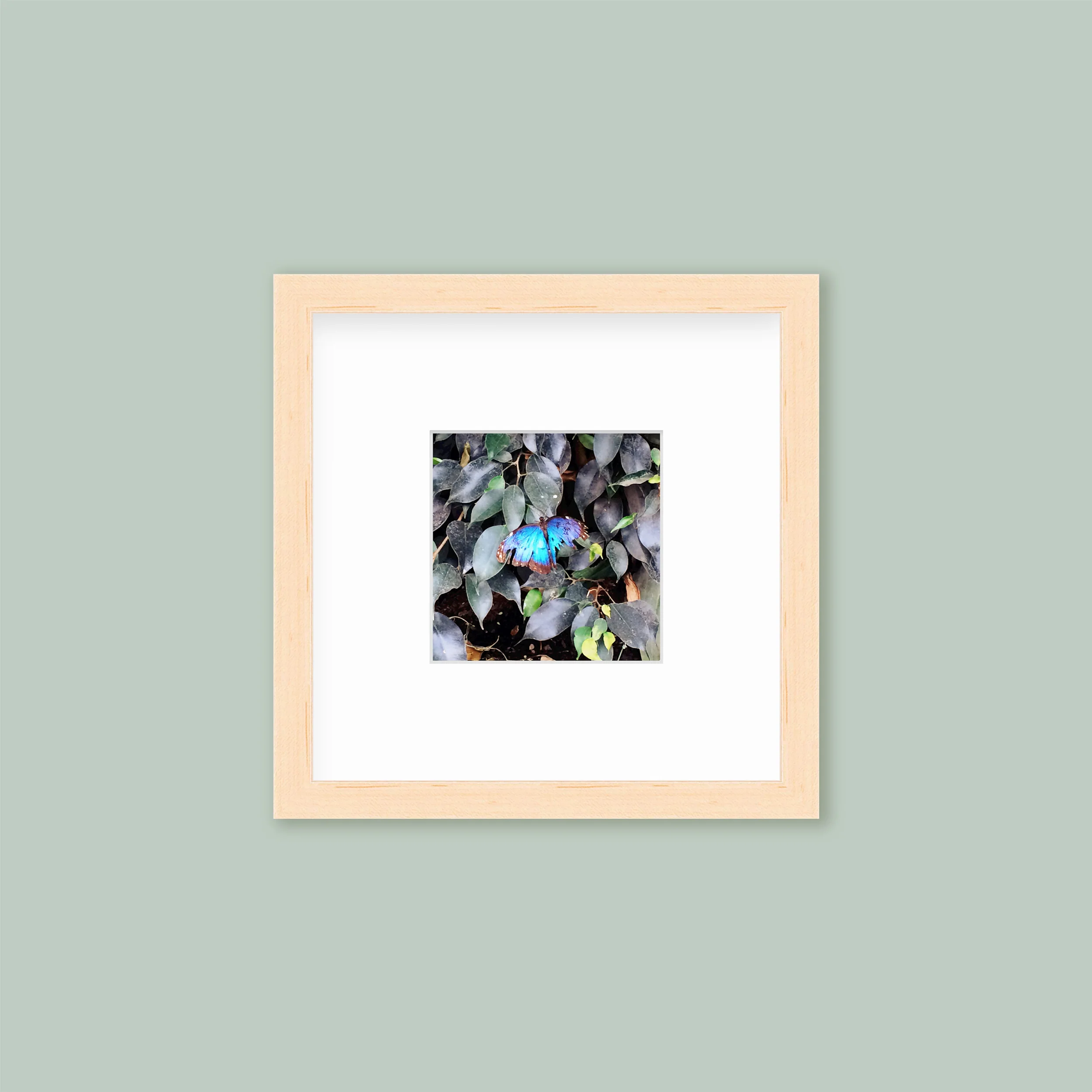 The Mini Tall: Single Frame - Image 5