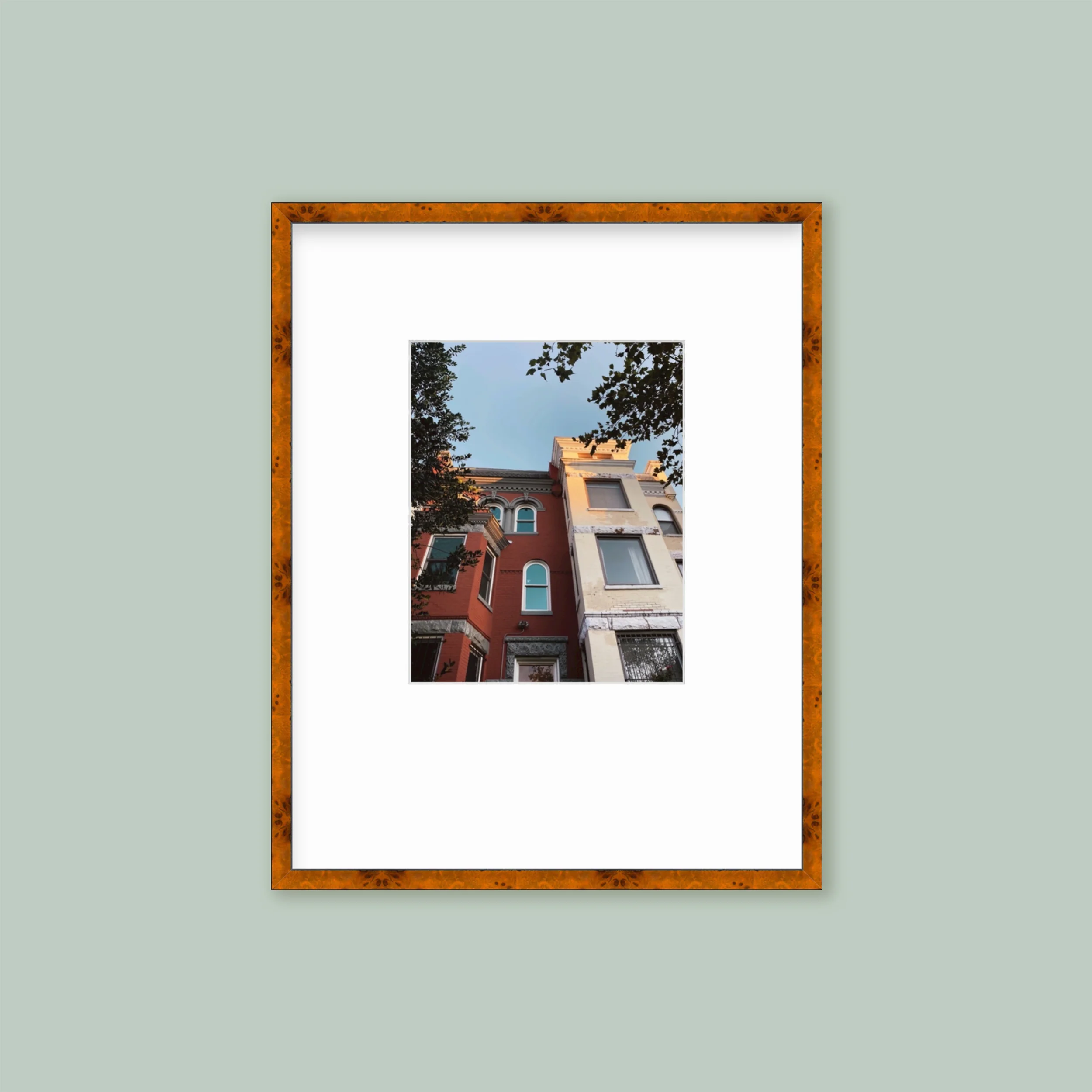 The Wide Grid: Single Frame - Image 2