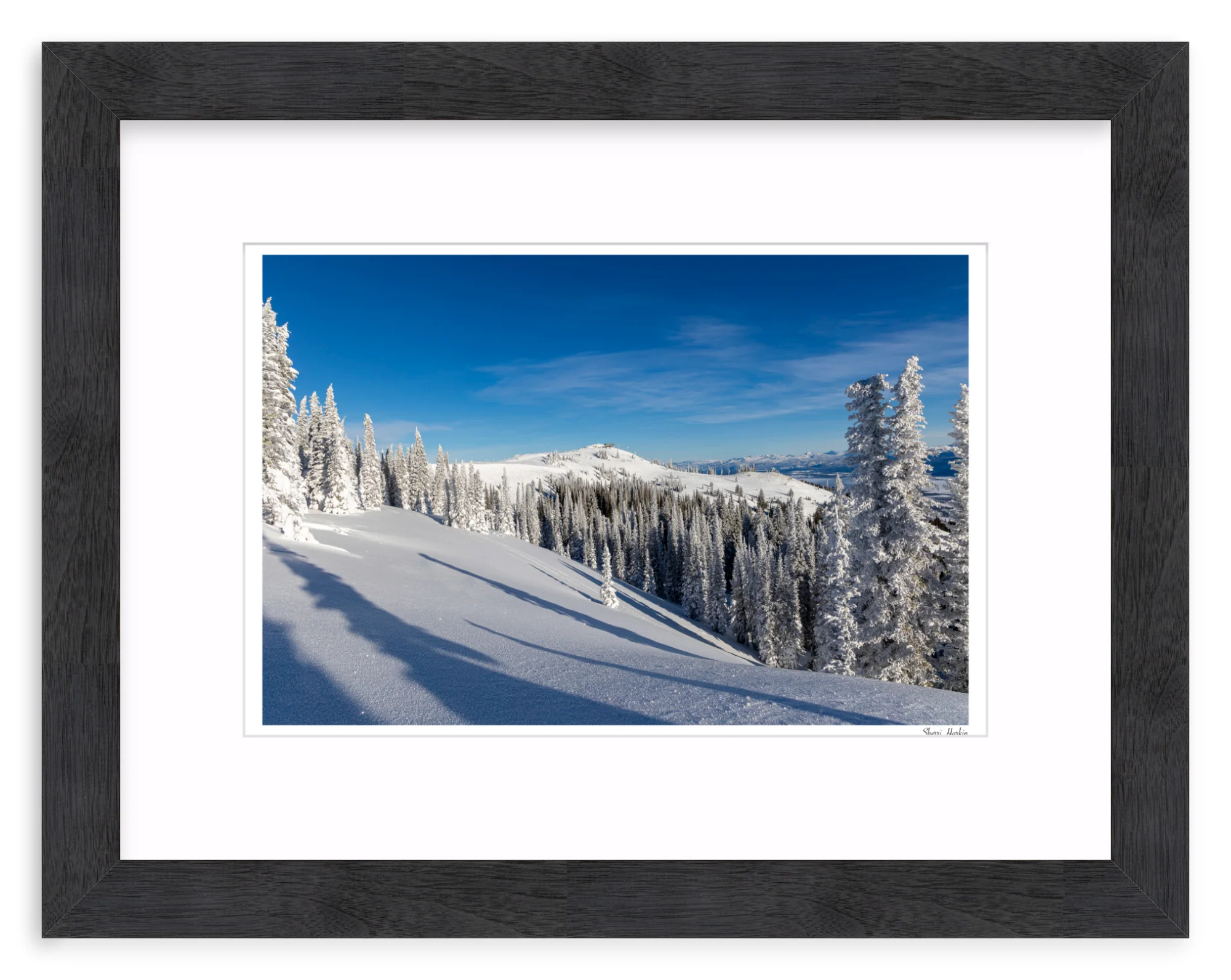 Top of Summit Express - Image 13