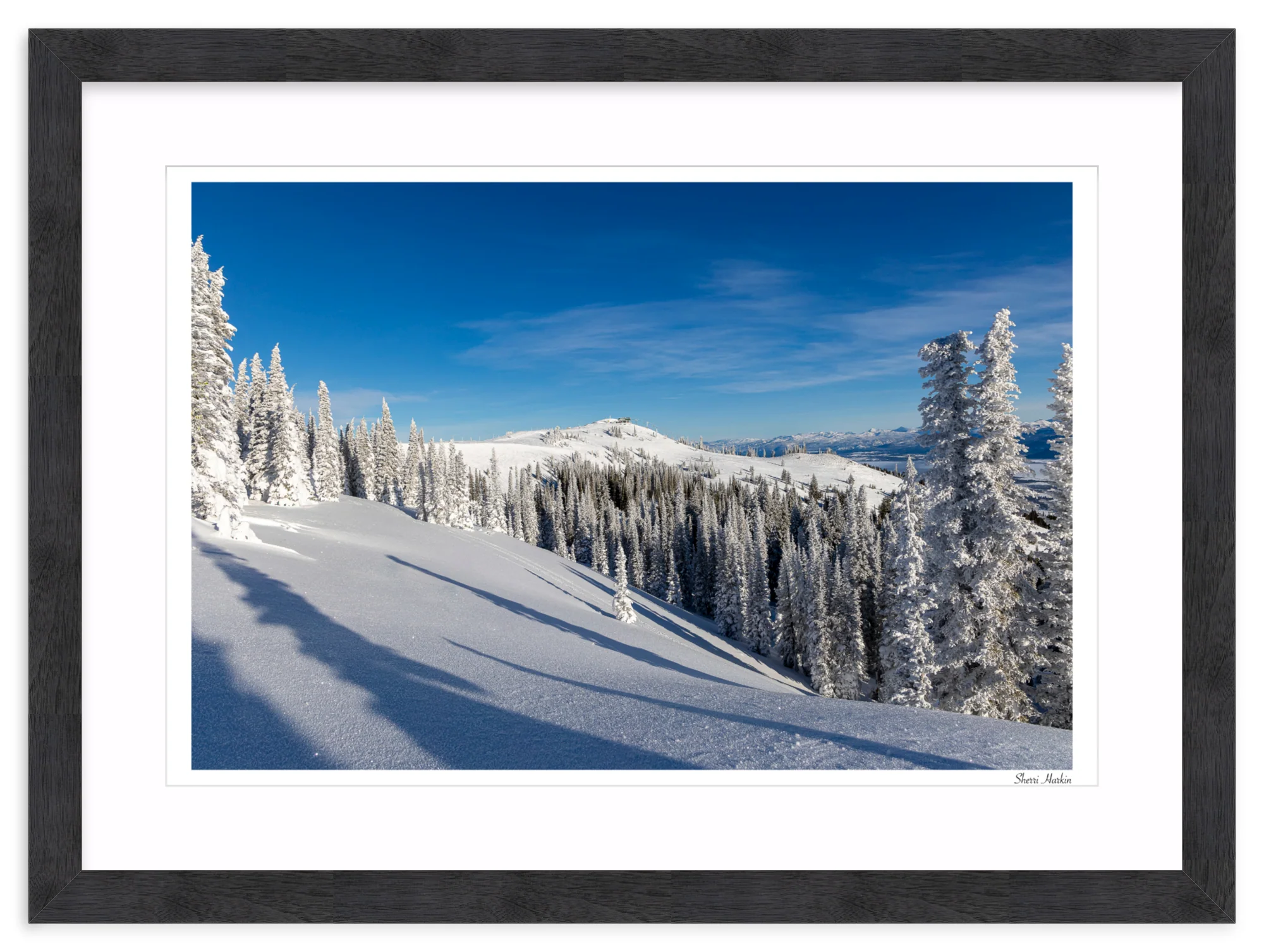 Top of Summit Express - Image 15