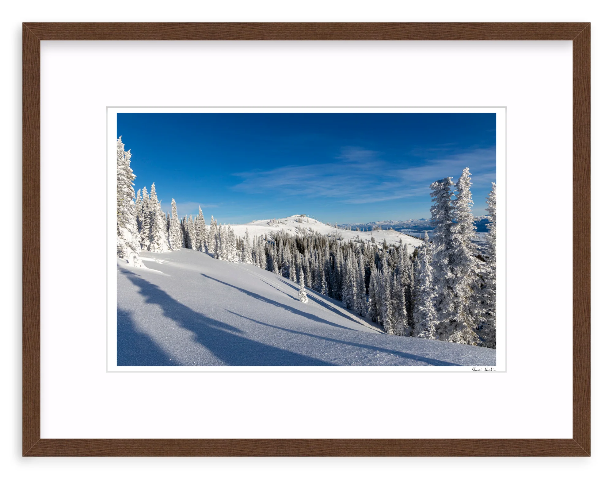 Top of Summit Express - Image 4