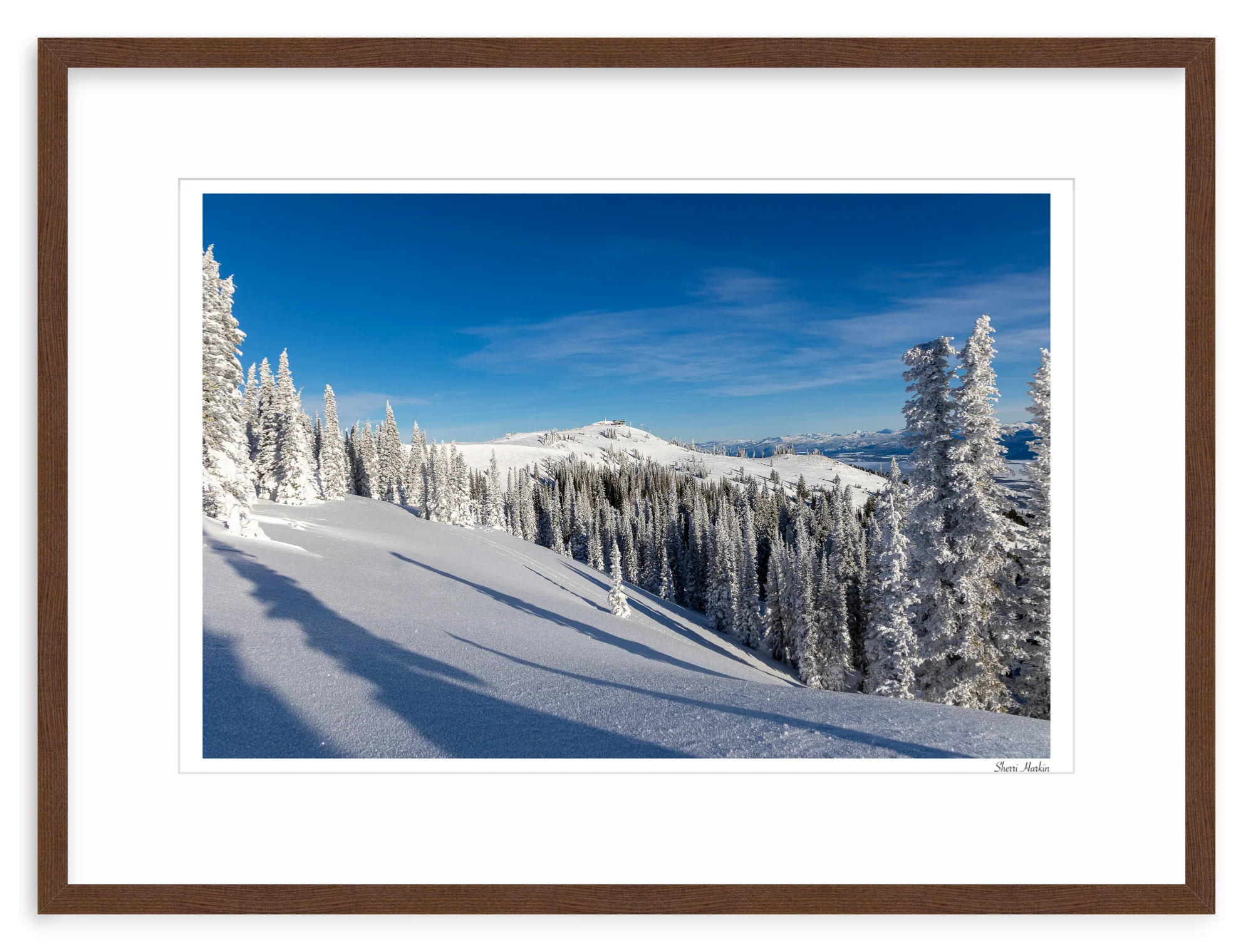 Top of Summit Express - Image 5