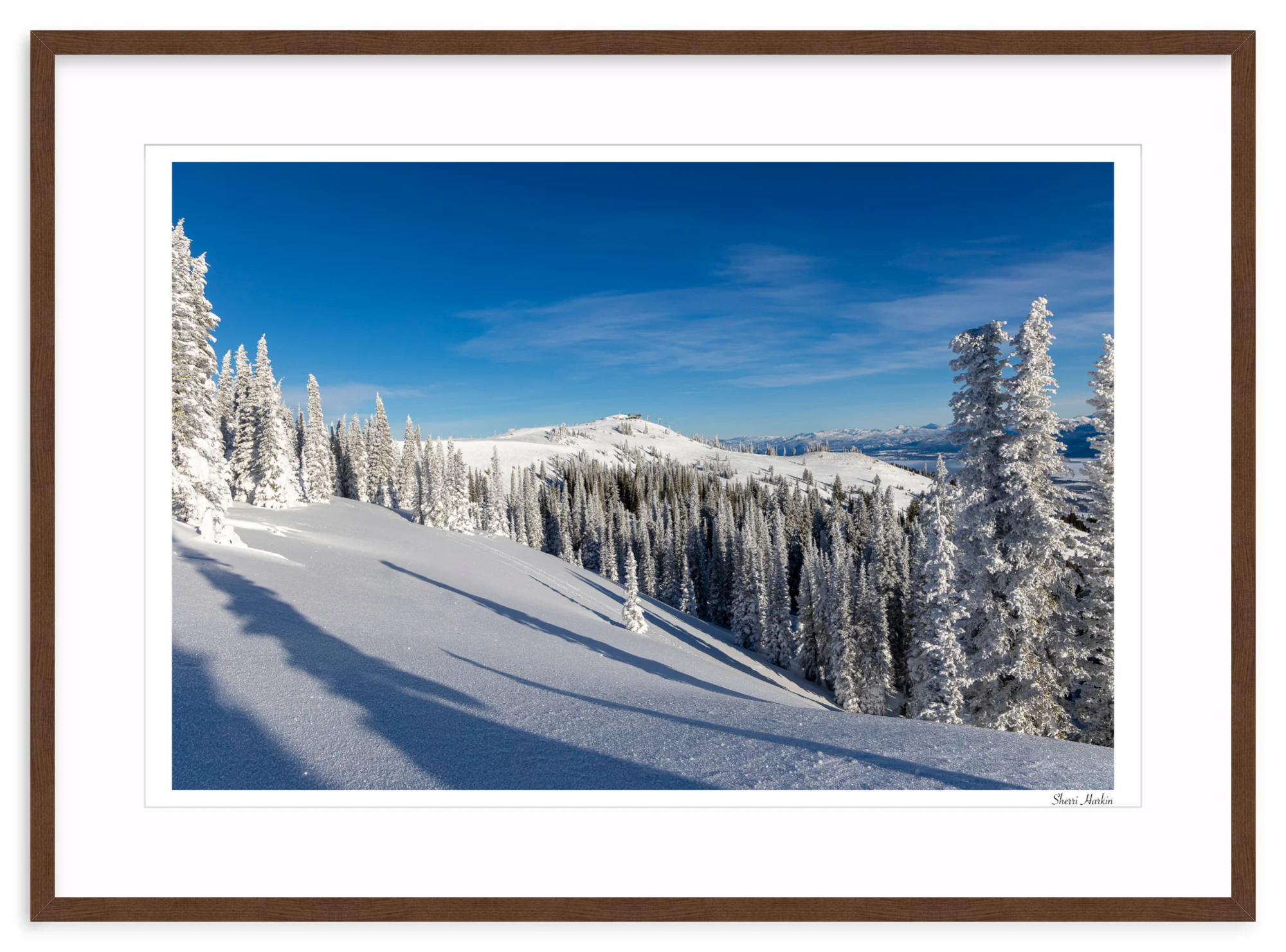 Top of Summit Express - Image 6