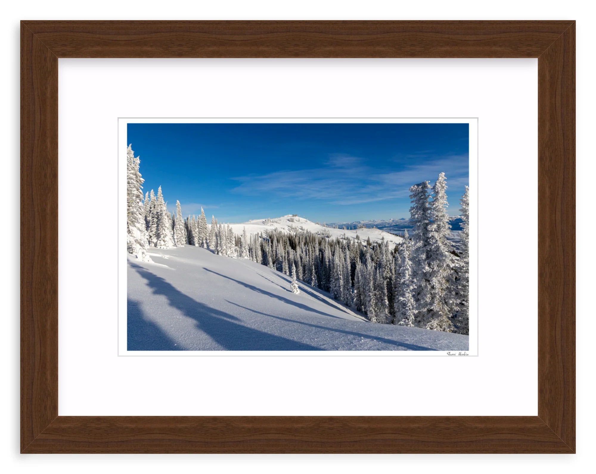 Top of Summit Express - Image 7