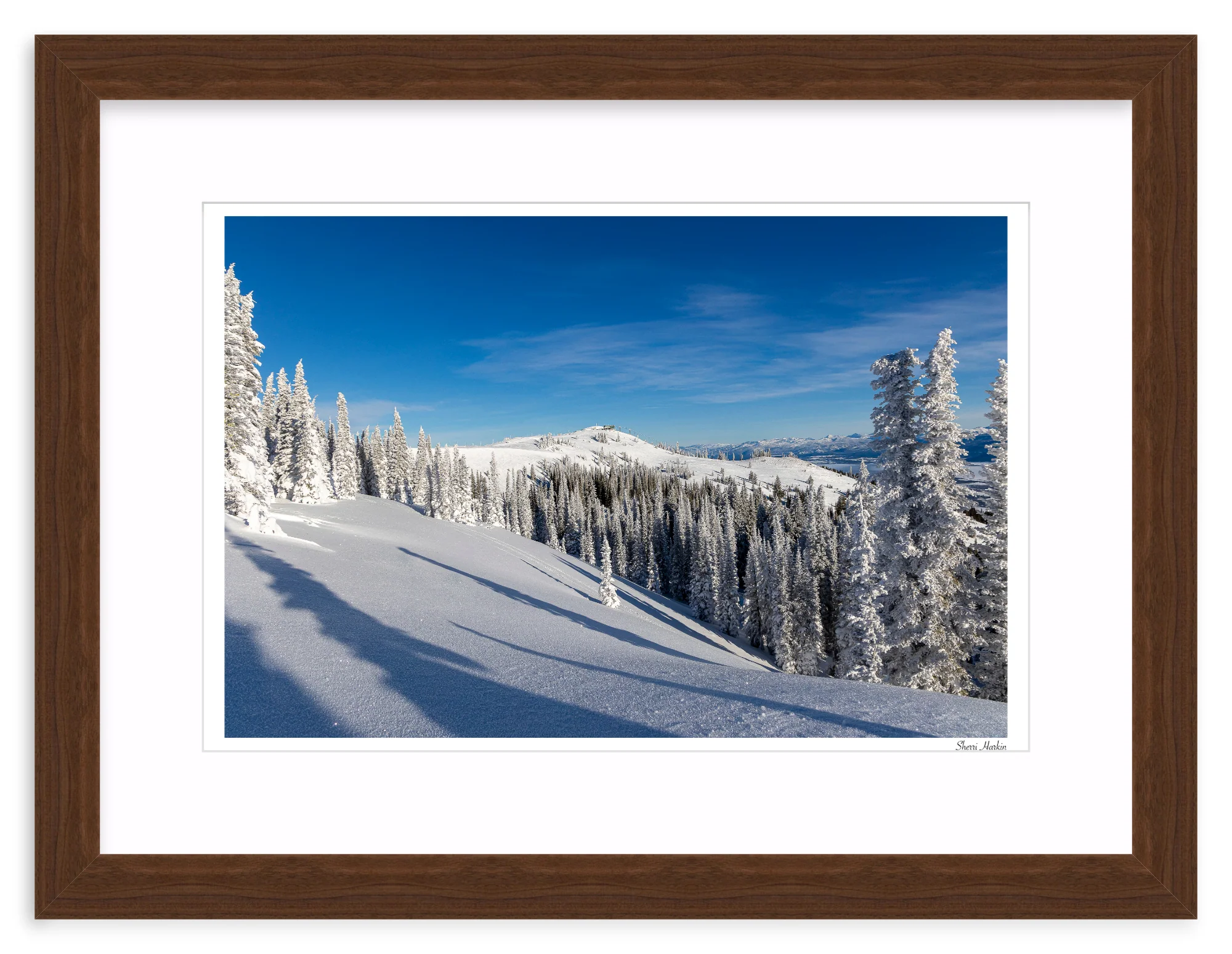 Top of Summit Express - Image 8
