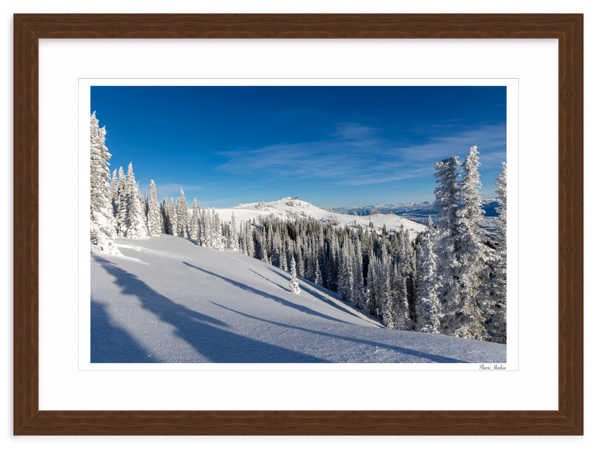 Top of Summit Express - Image 9