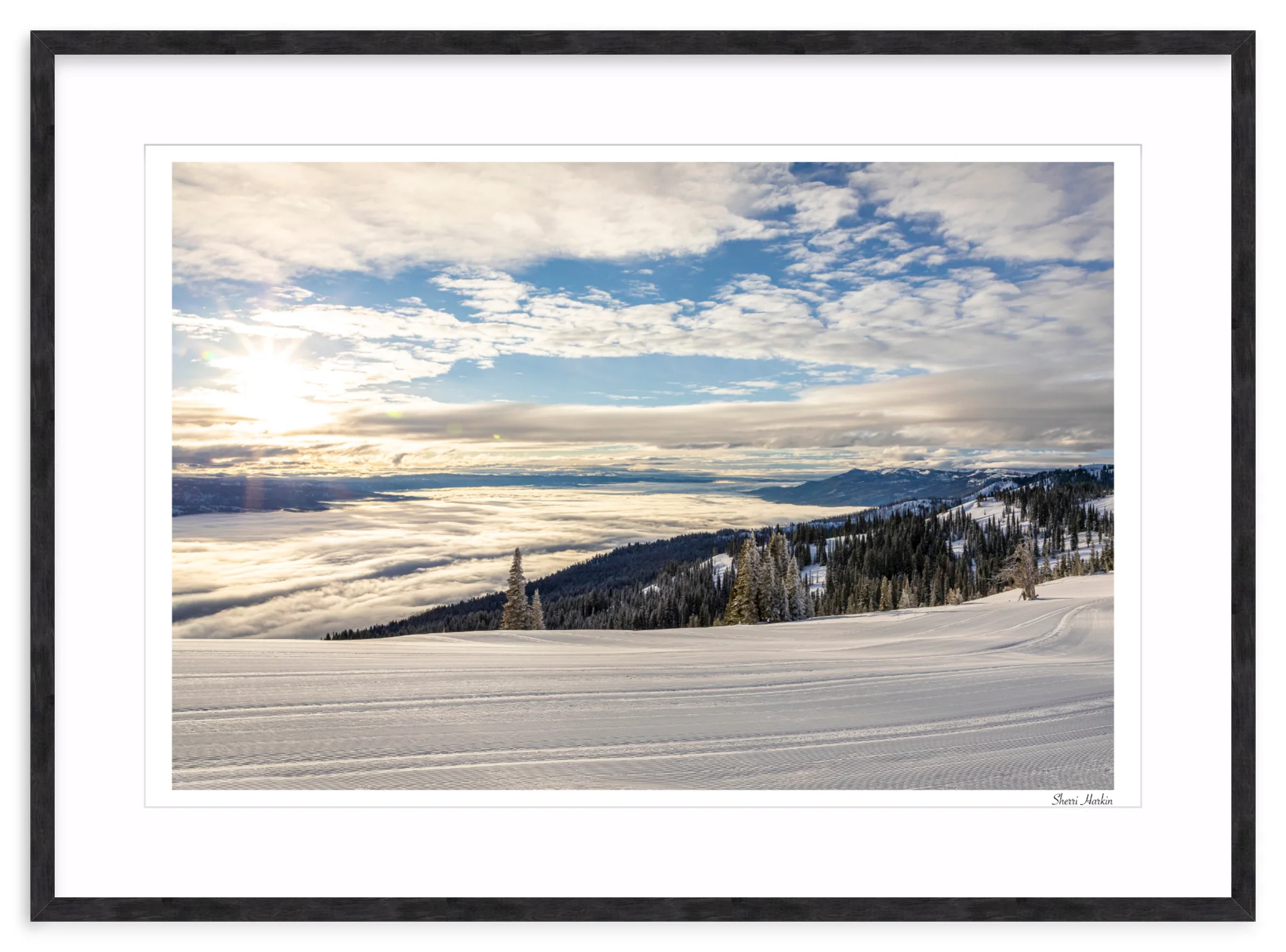Top of Tamarack - Image 12