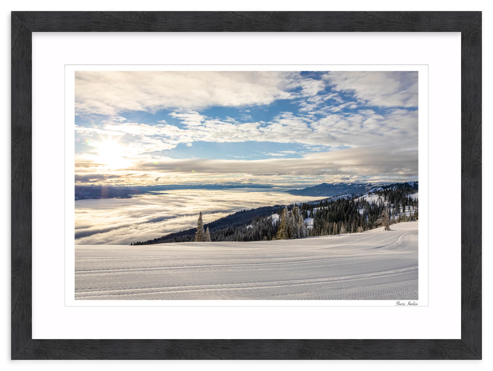 Top of Tamarack - Image 15