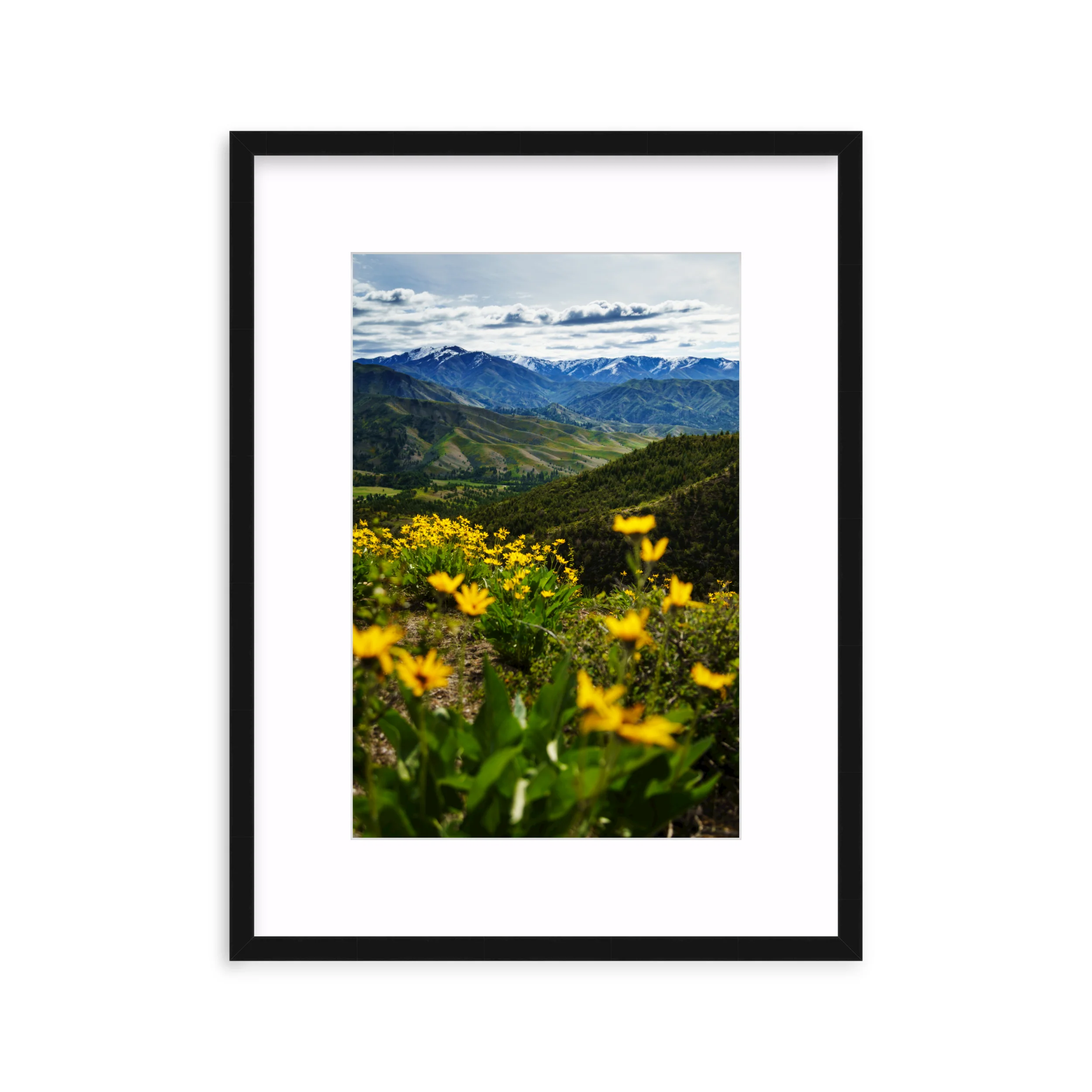 Trinity Mountains