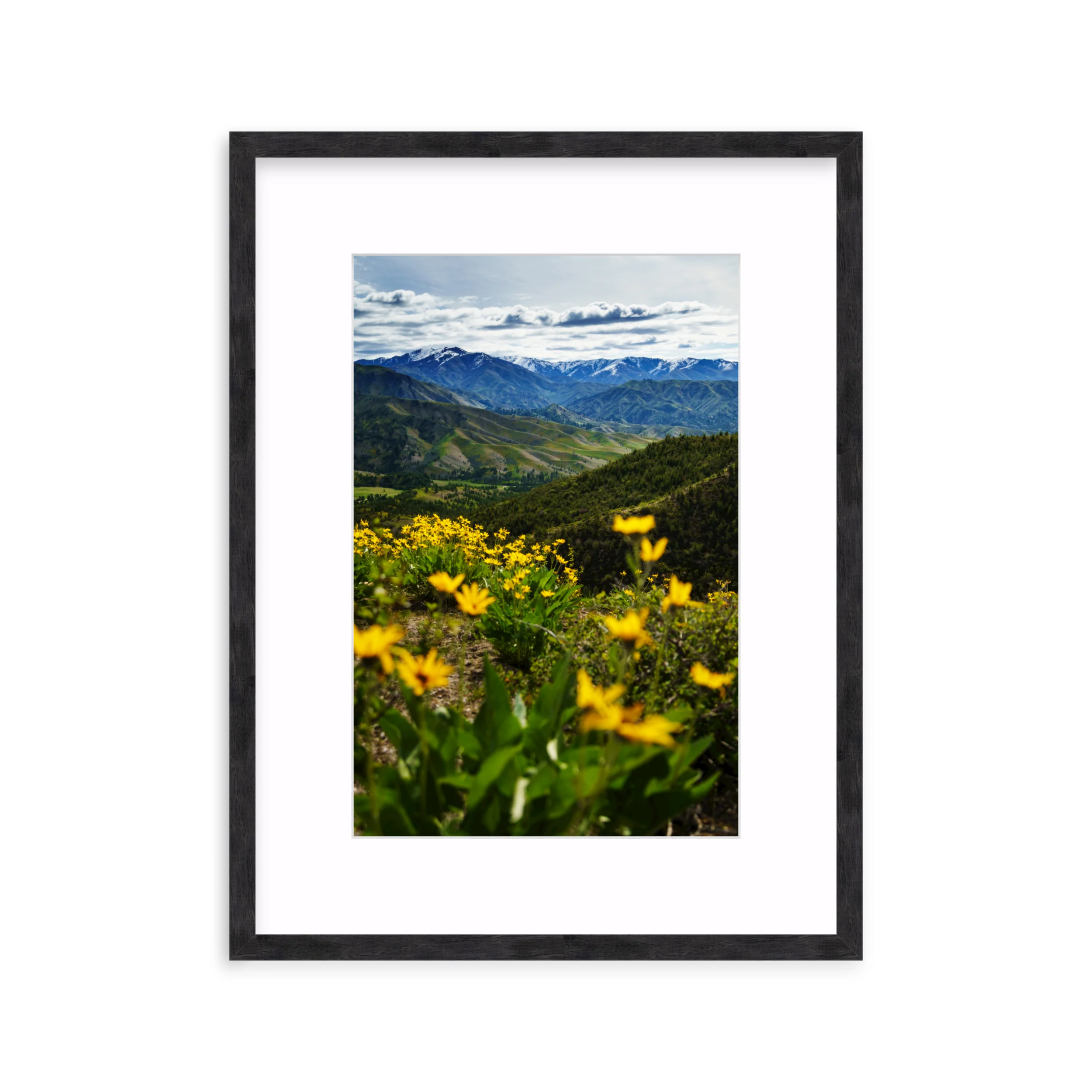Trinity Mountains - Image 10