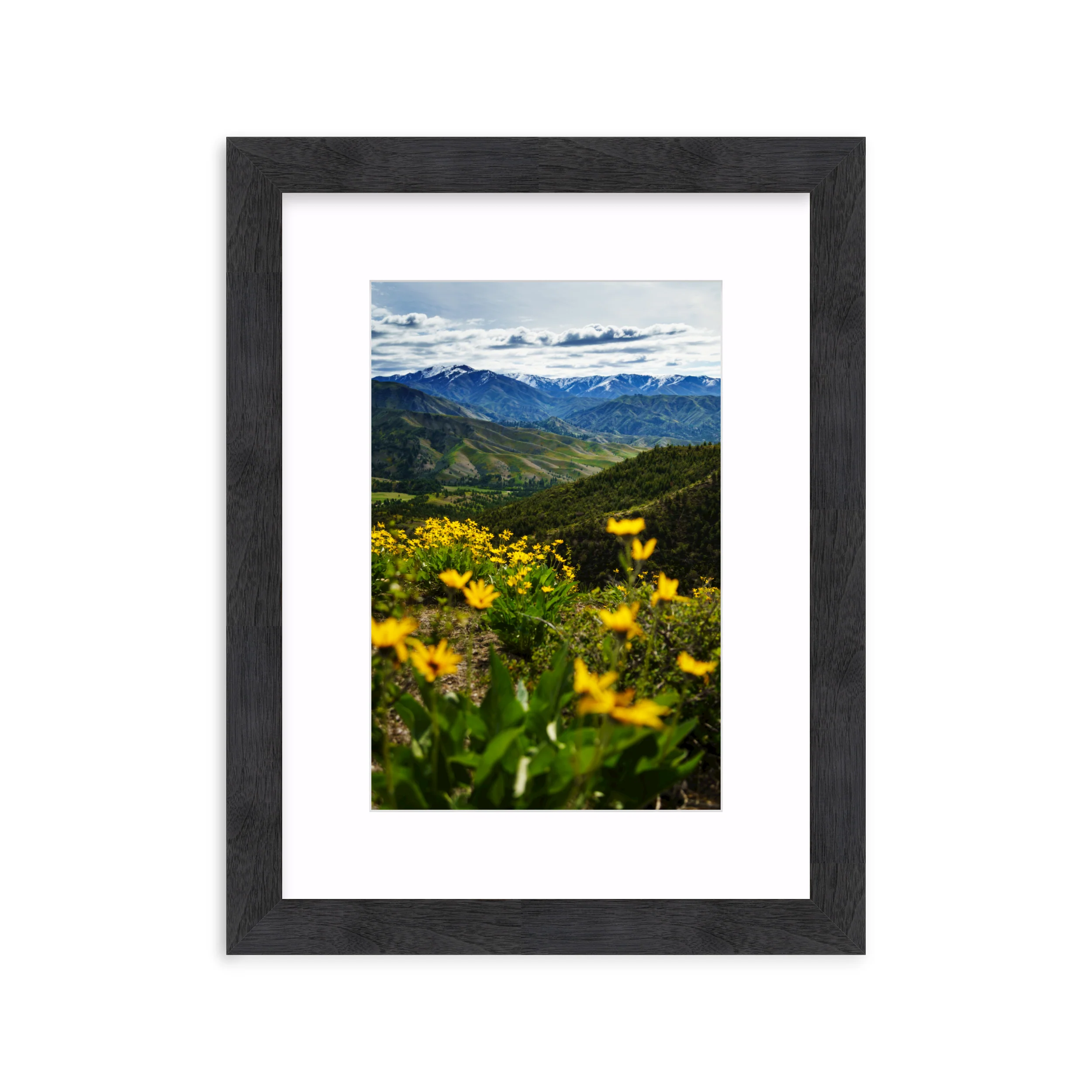 Trinity Mountains - Image 14