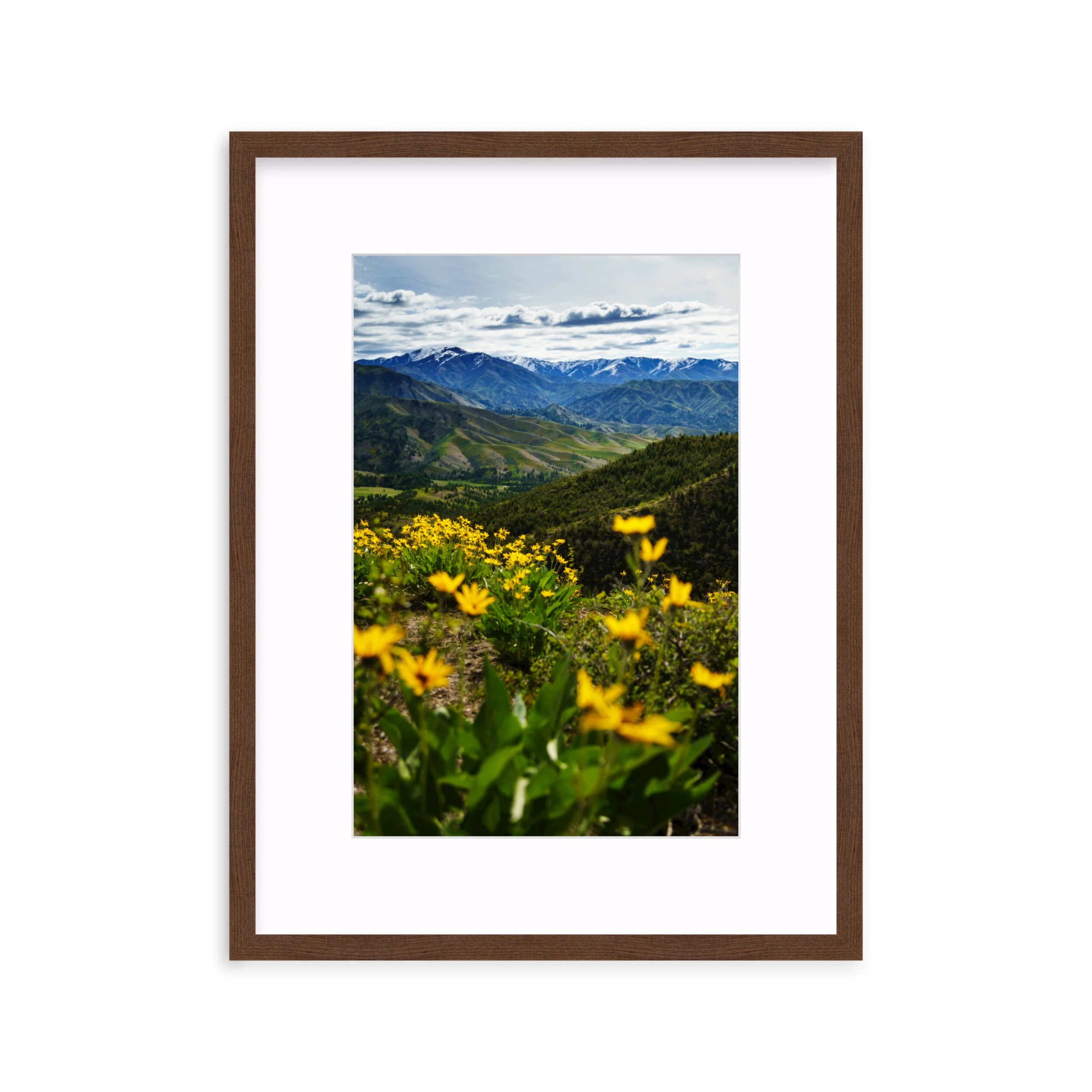 Trinity Mountains - Image 4