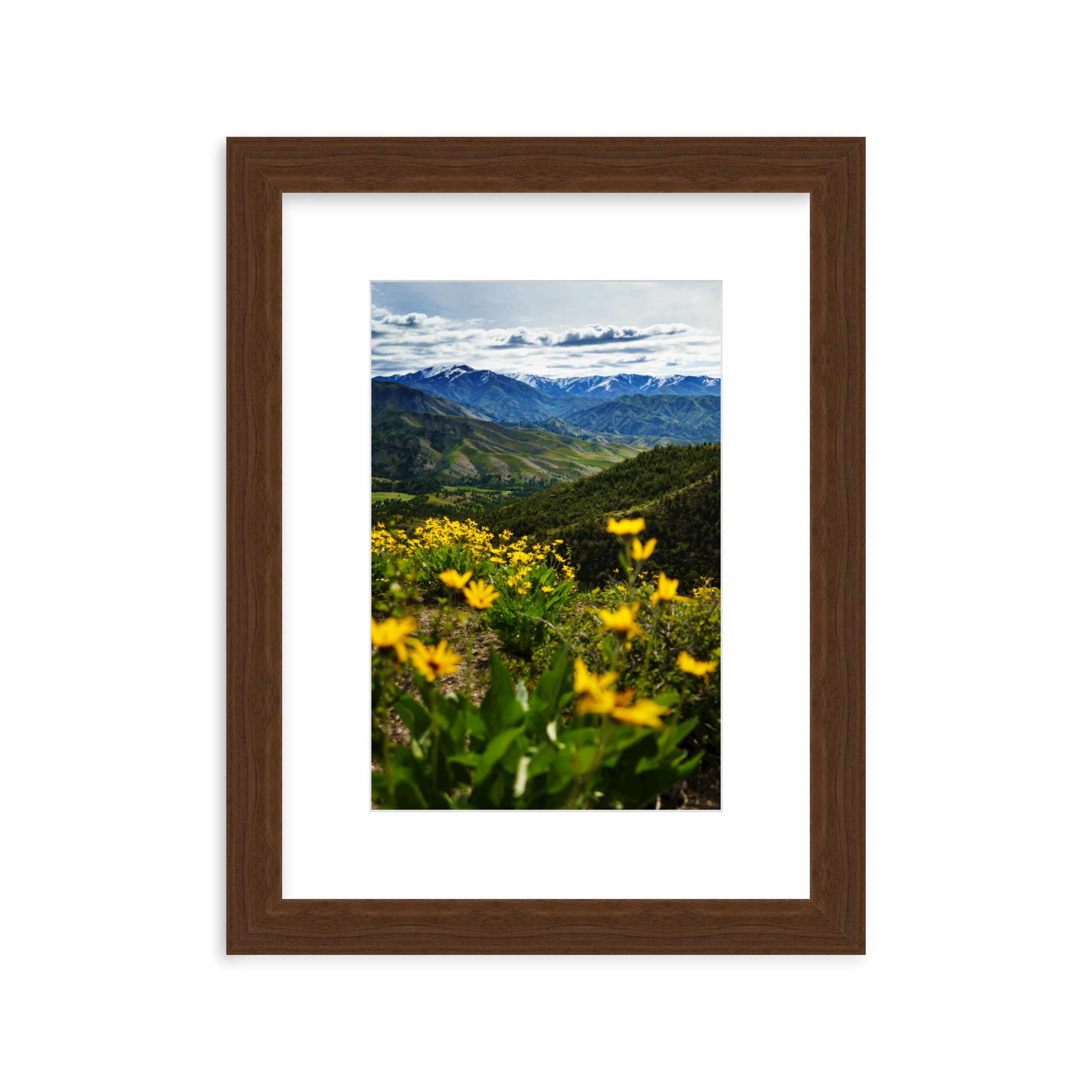 Trinity Mountains - Image 8