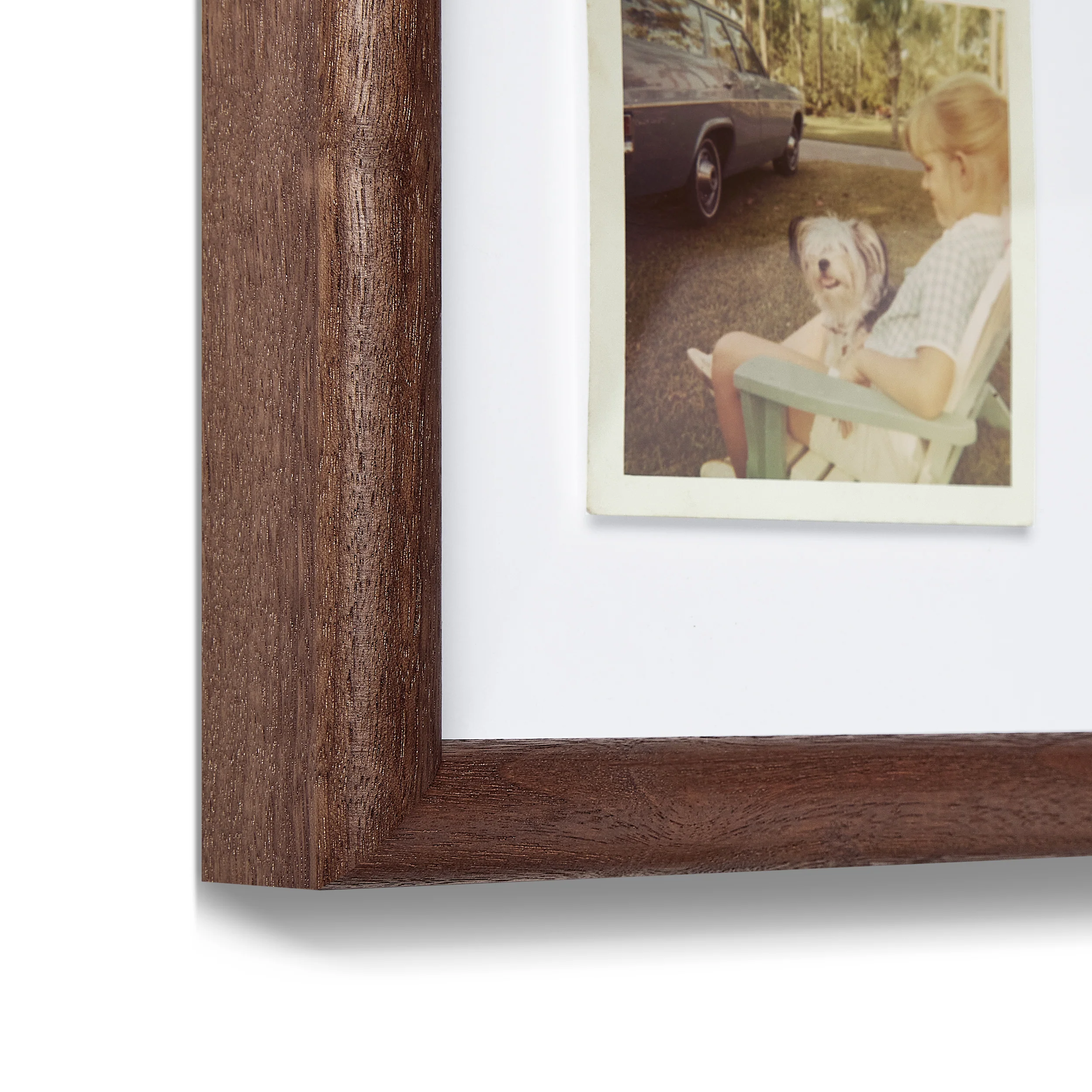 Walnut Round - Image 3
