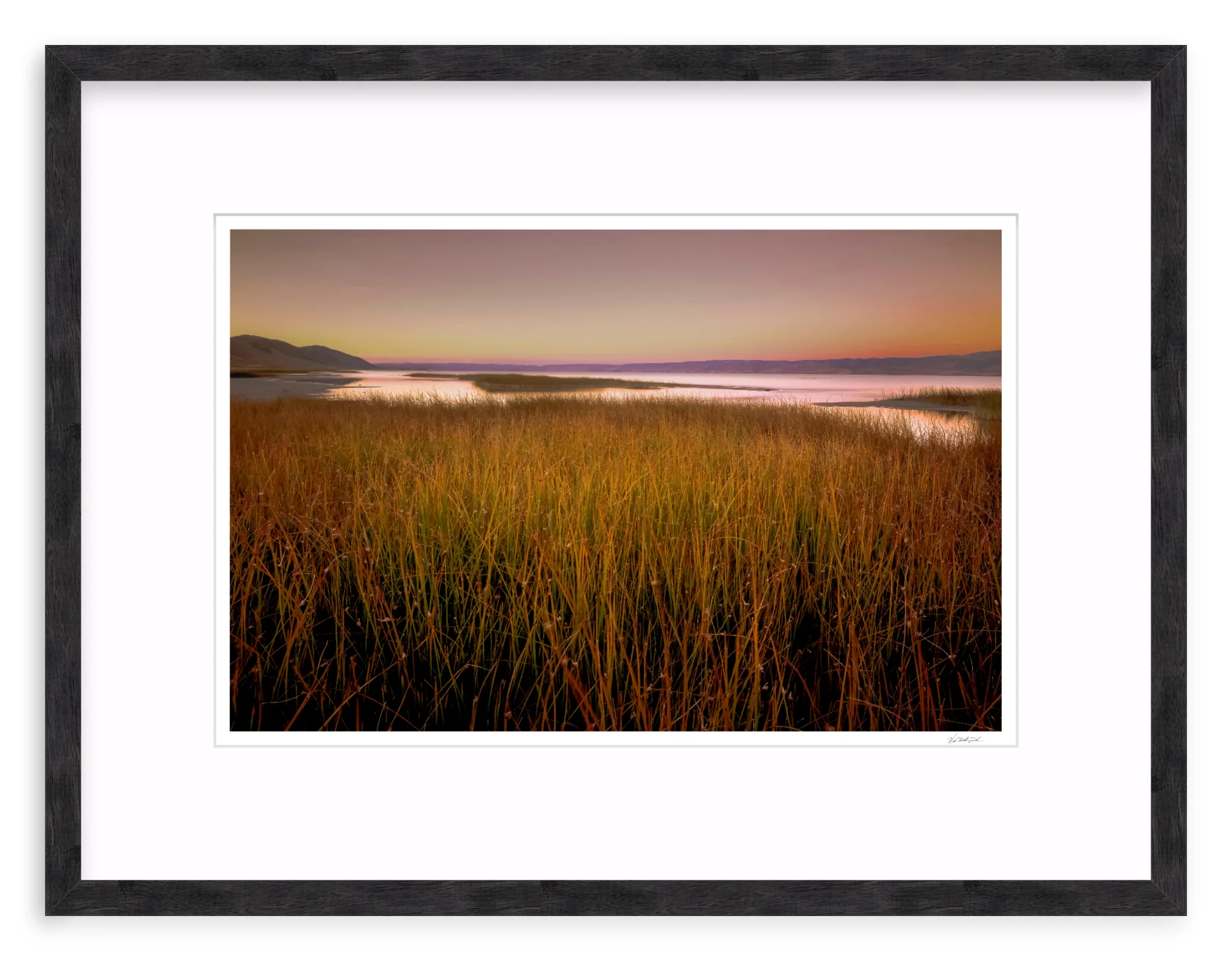 Wetlands - Image 10