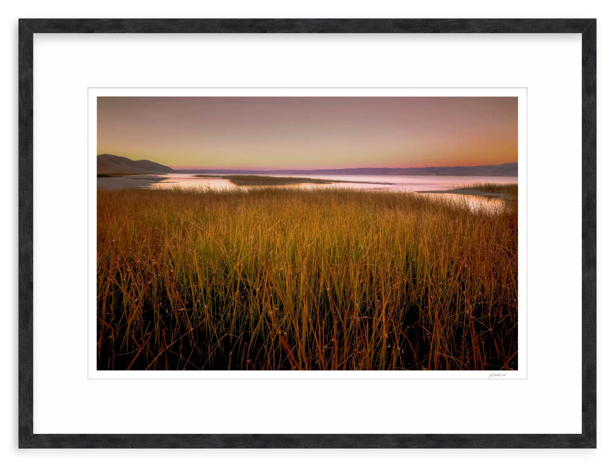 Wetlands - Image 11