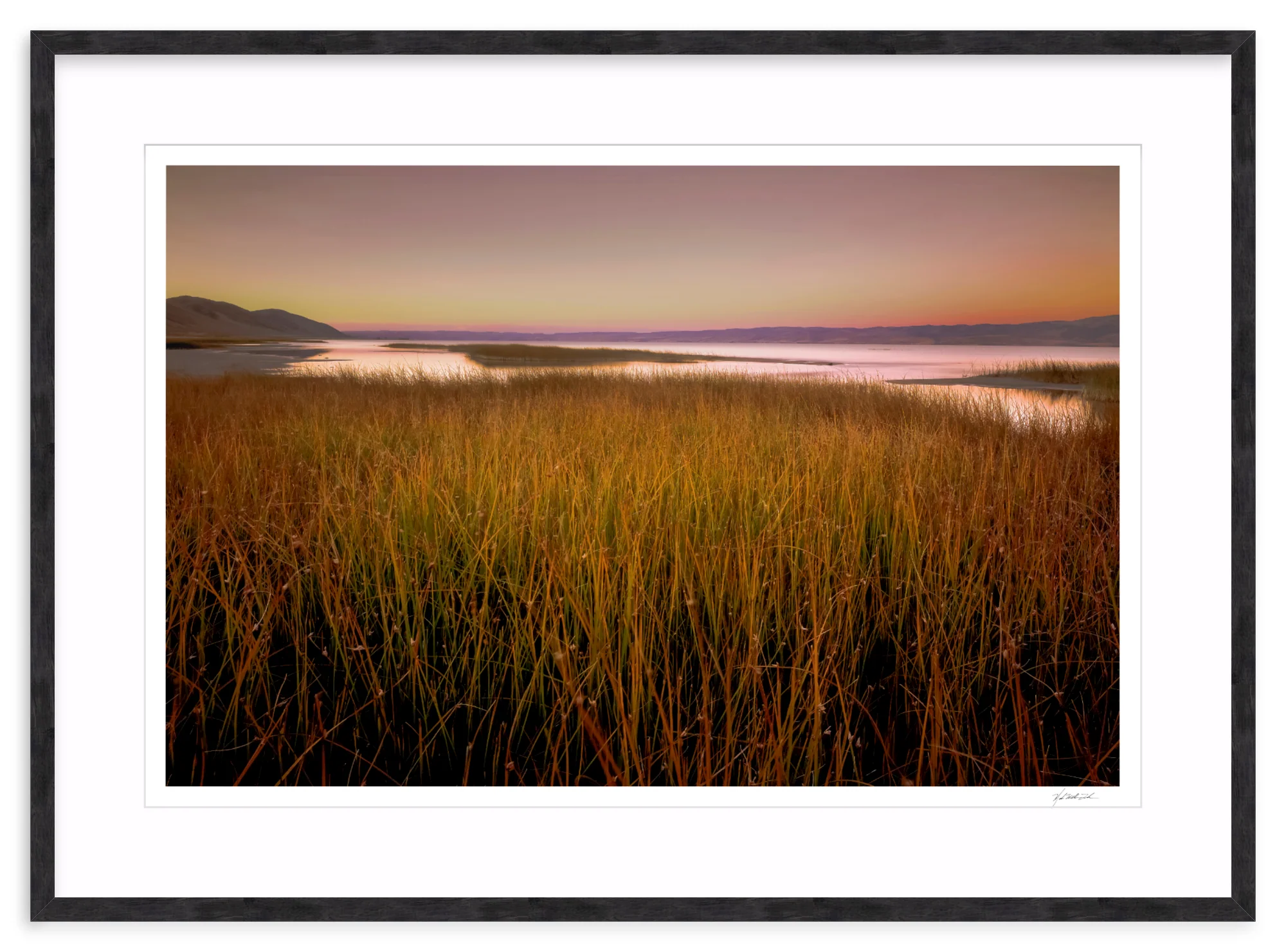 Wetlands - Image 12