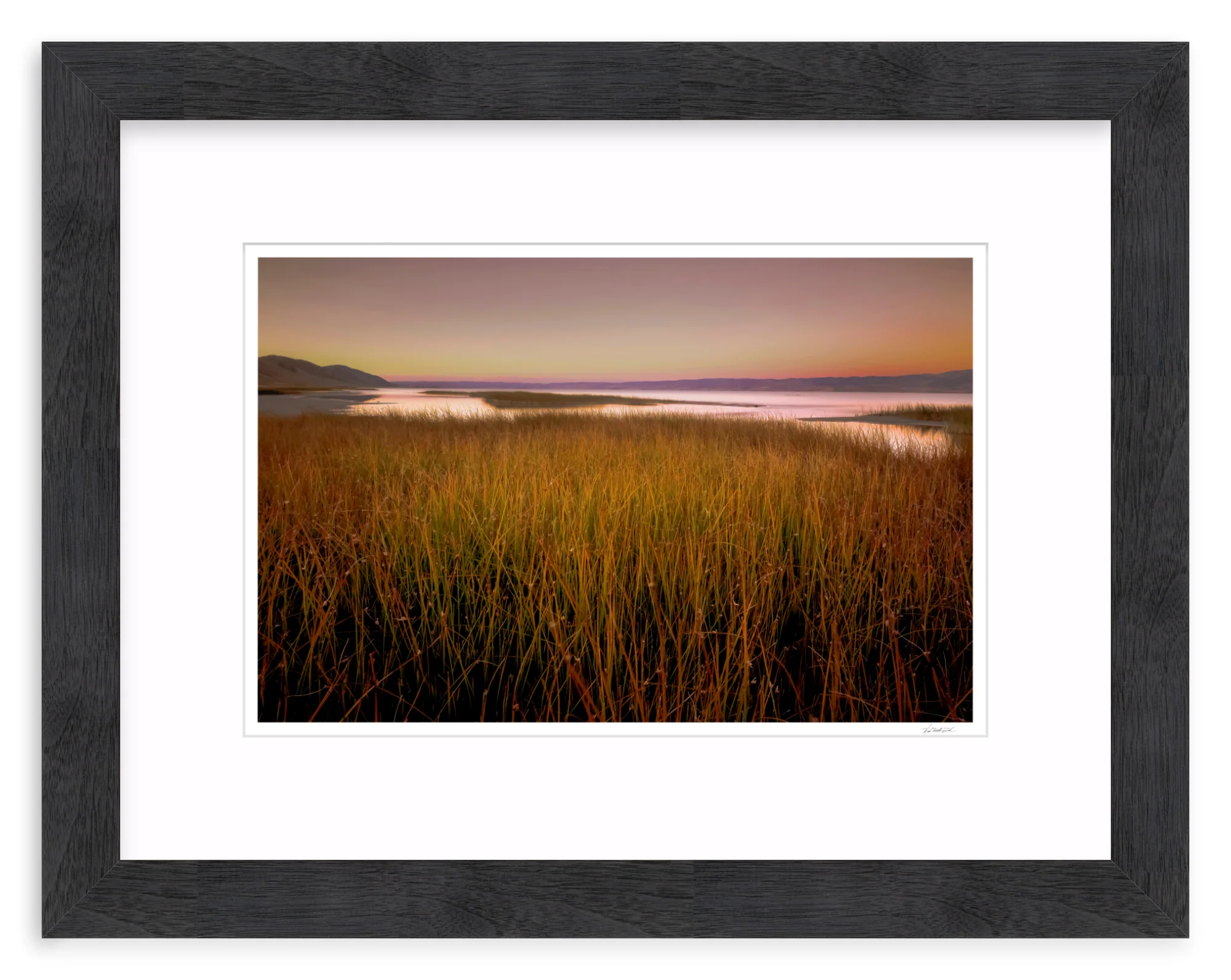 Wetlands - Image 13