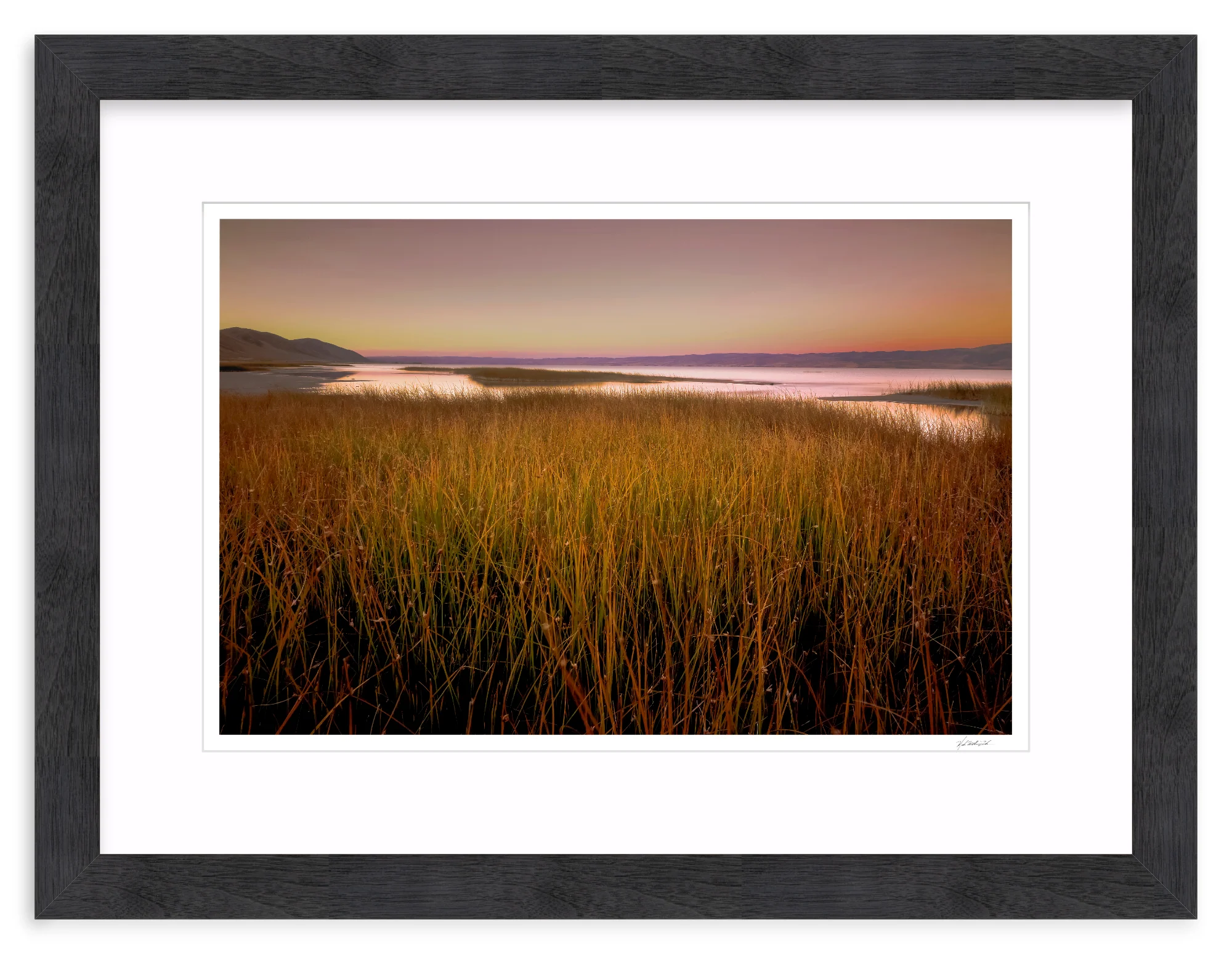 Wetlands - Image 14
