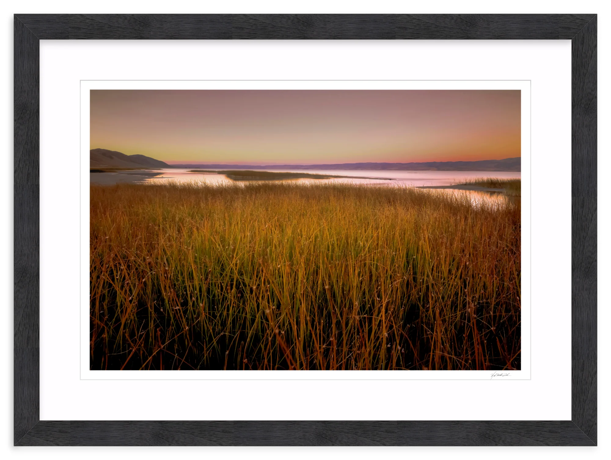 Wetlands - Image 15
