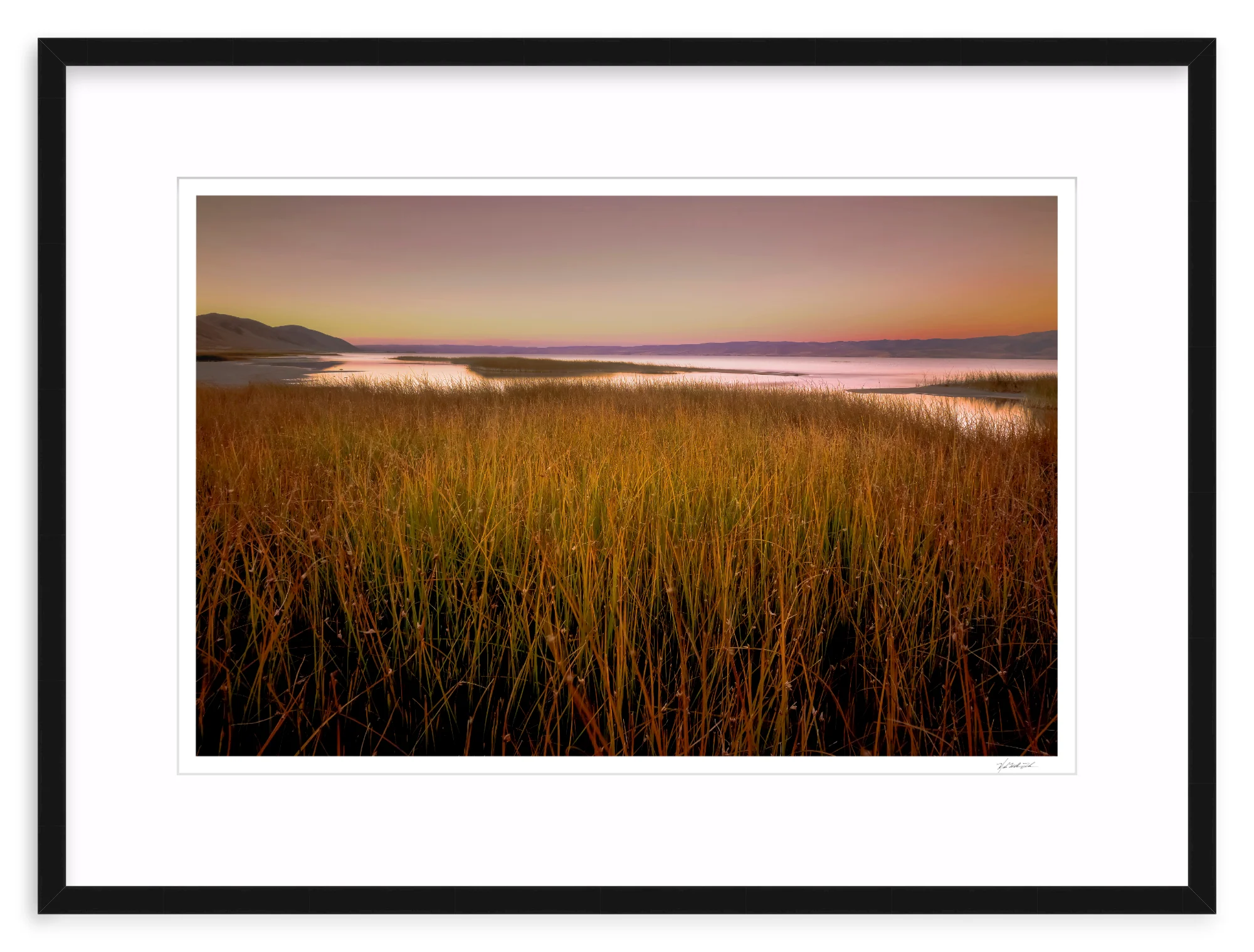 Wetlands - Image 2