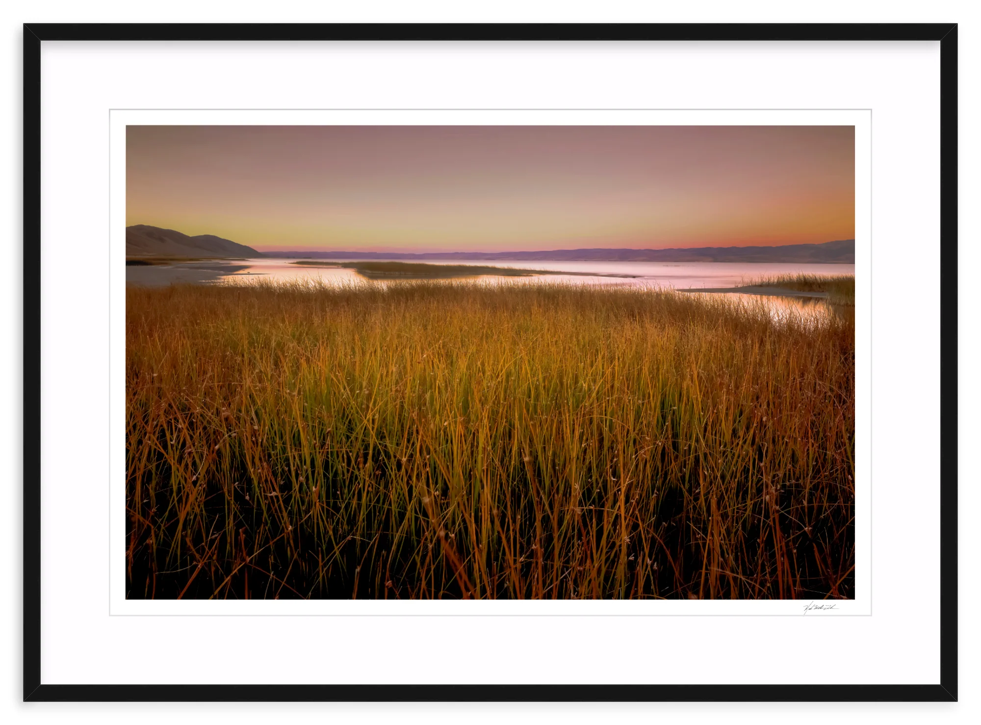 Wetlands - Image 3