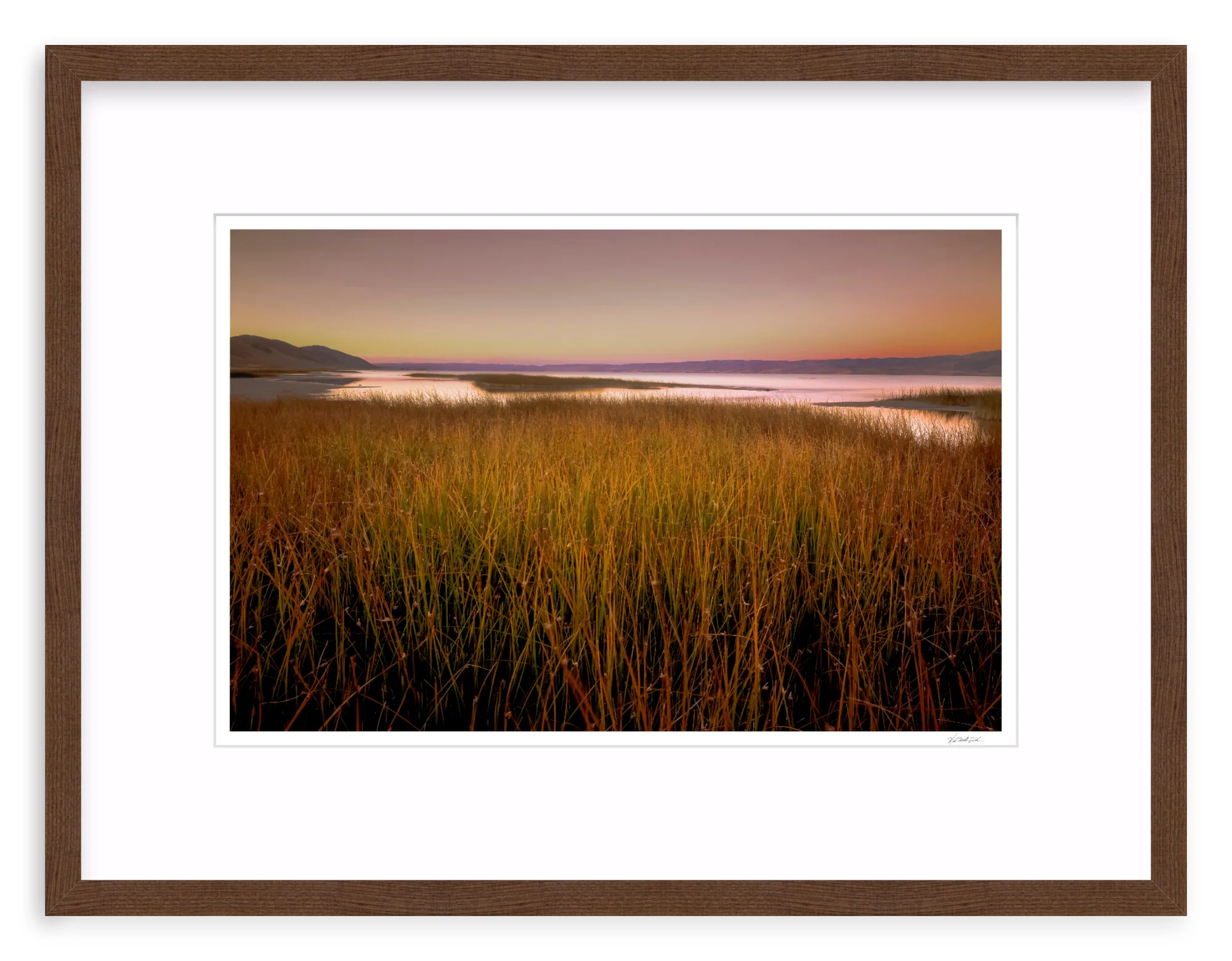Wetlands - Image 4