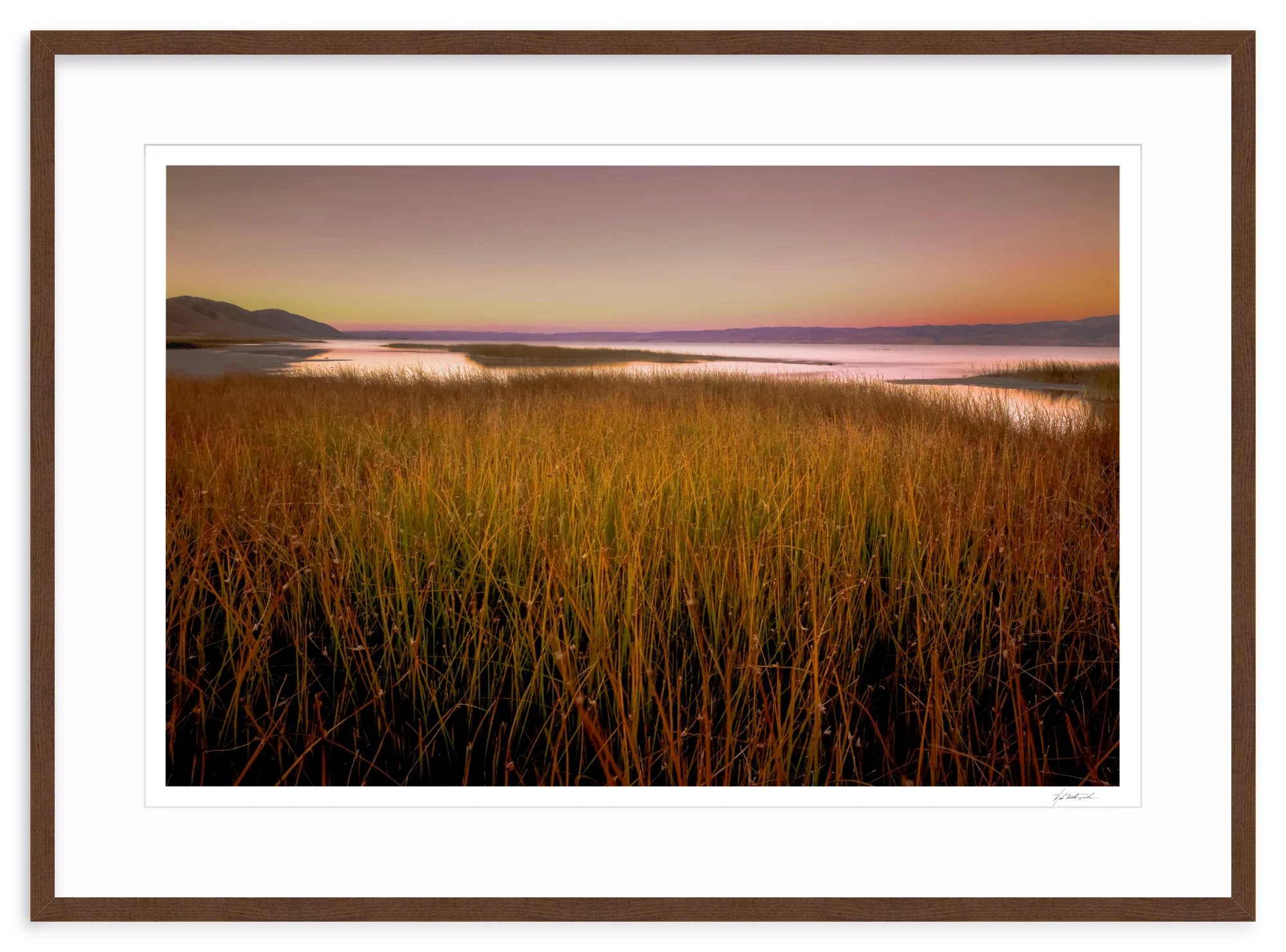 Wetlands - Image 6