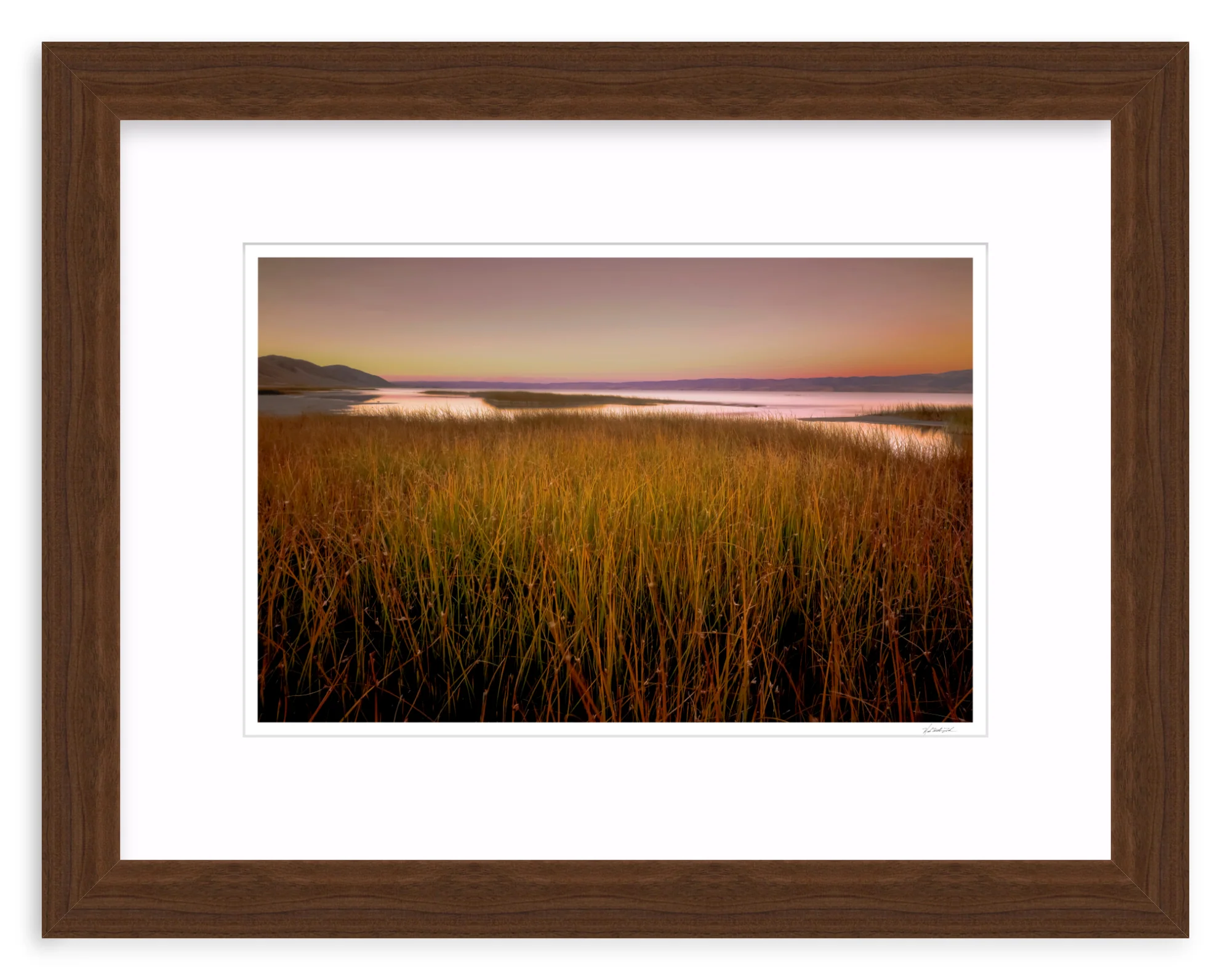 Wetlands - Image 7