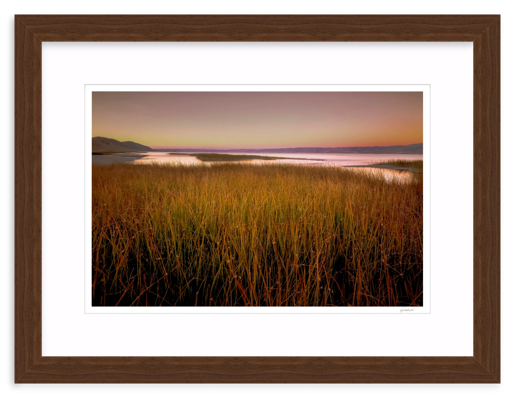 Wetlands - Image 8