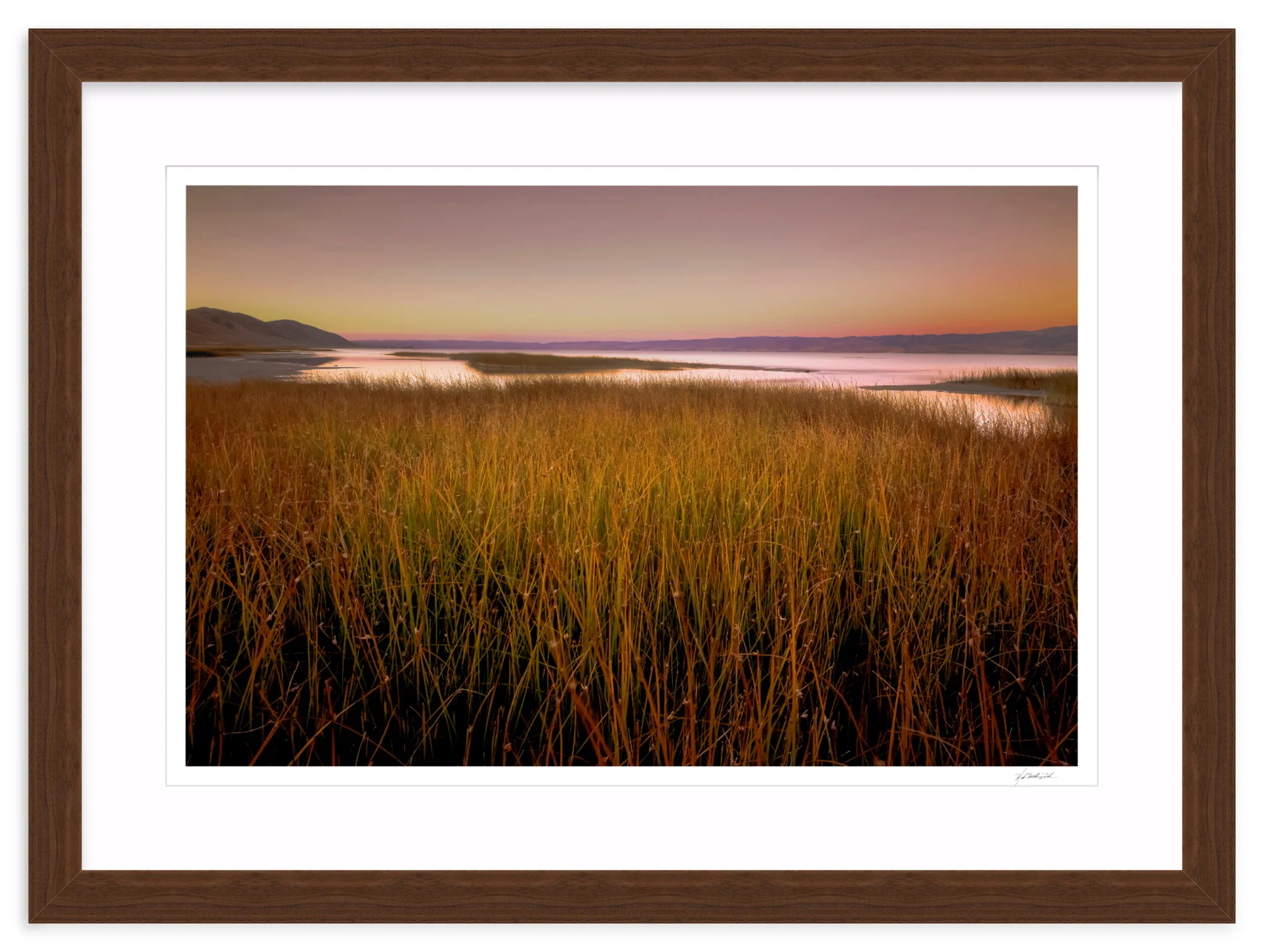 Wetlands - Image 9