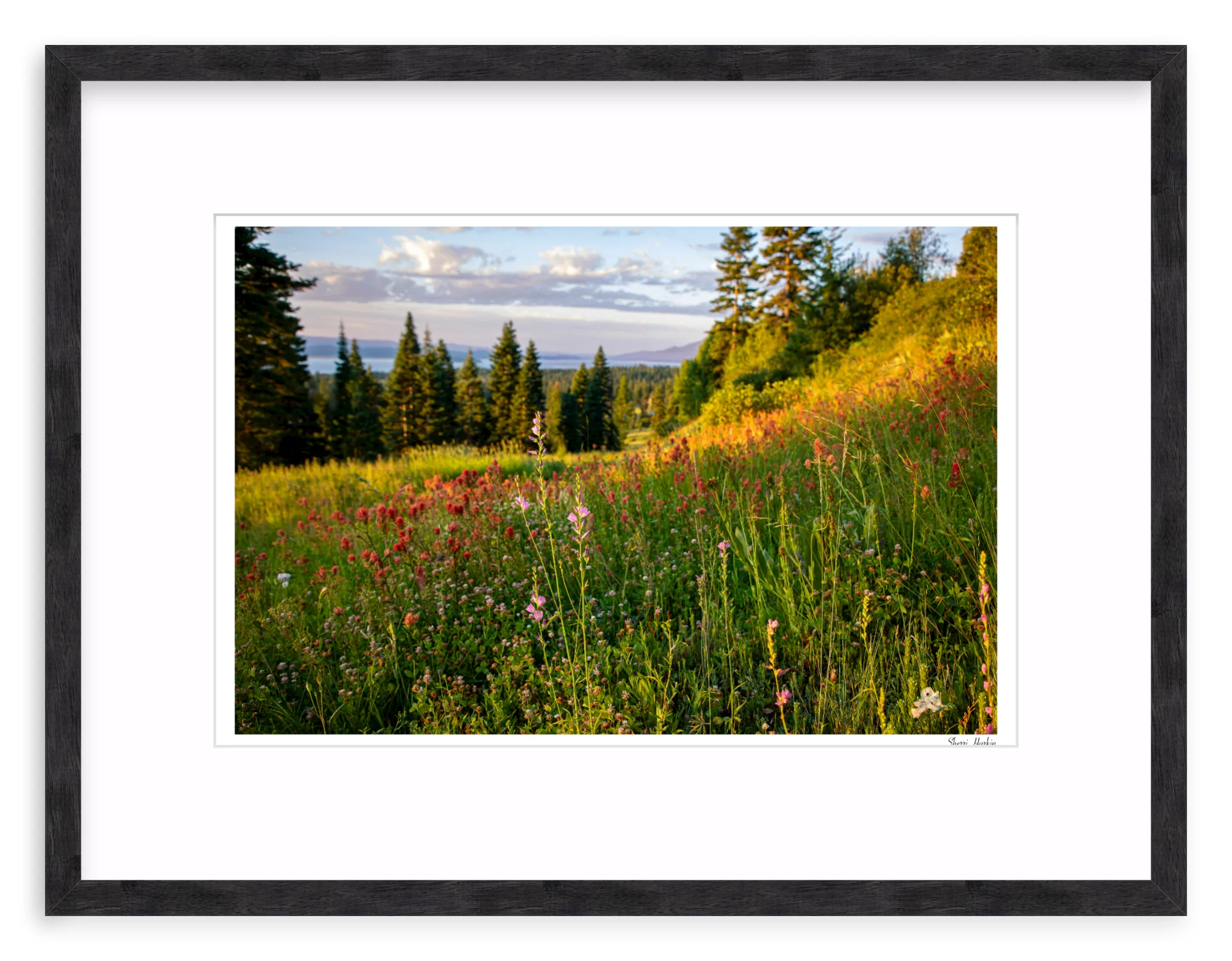 Wildflowers - Image 10