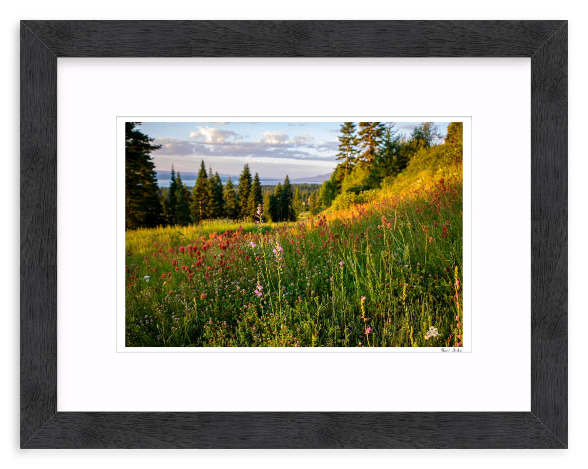 Wildflowers - Image 13