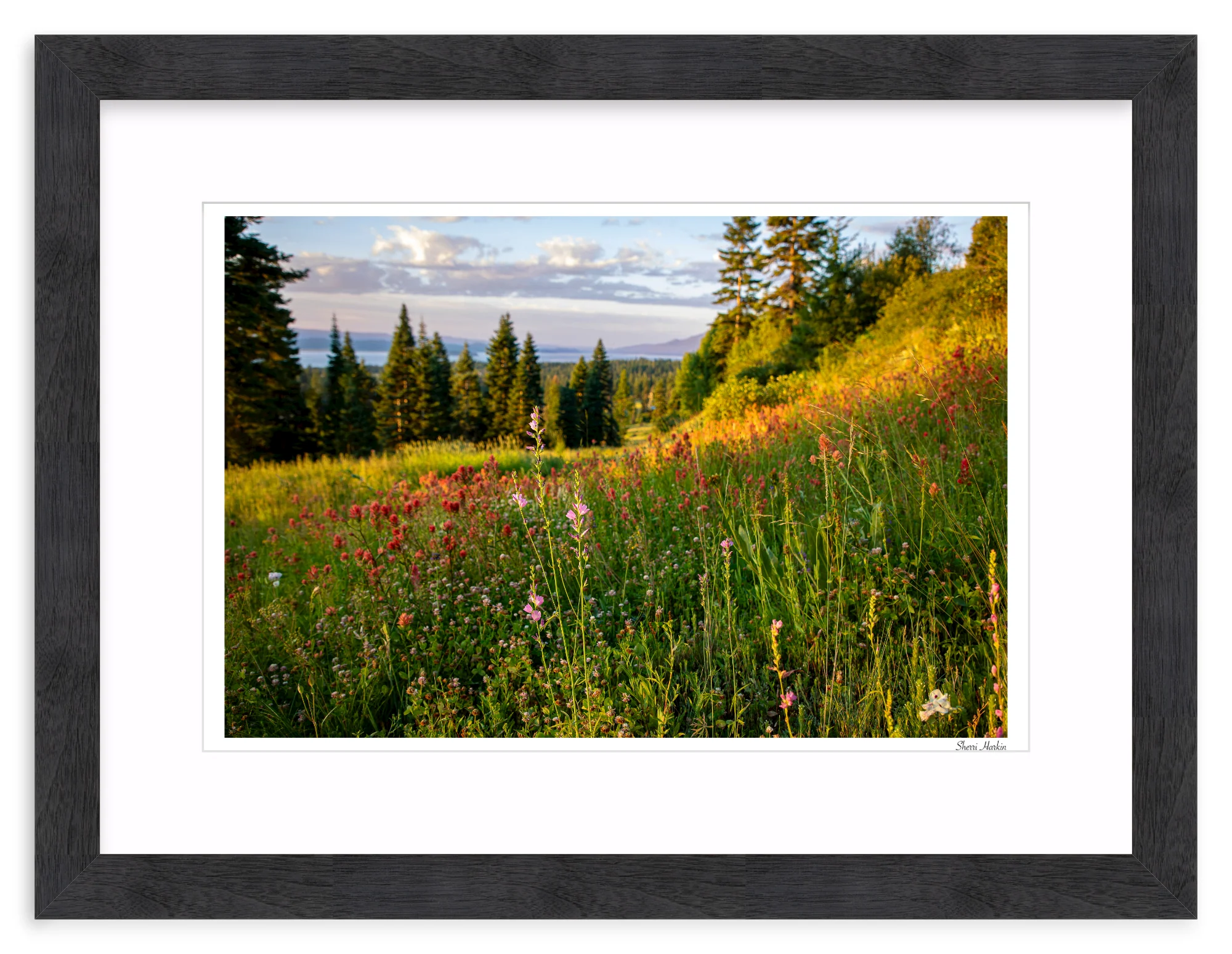 Wildflowers - Image 14