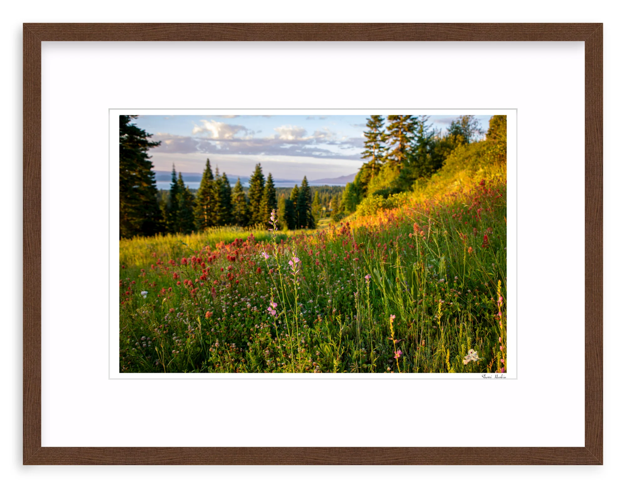 Wildflowers - Image 4