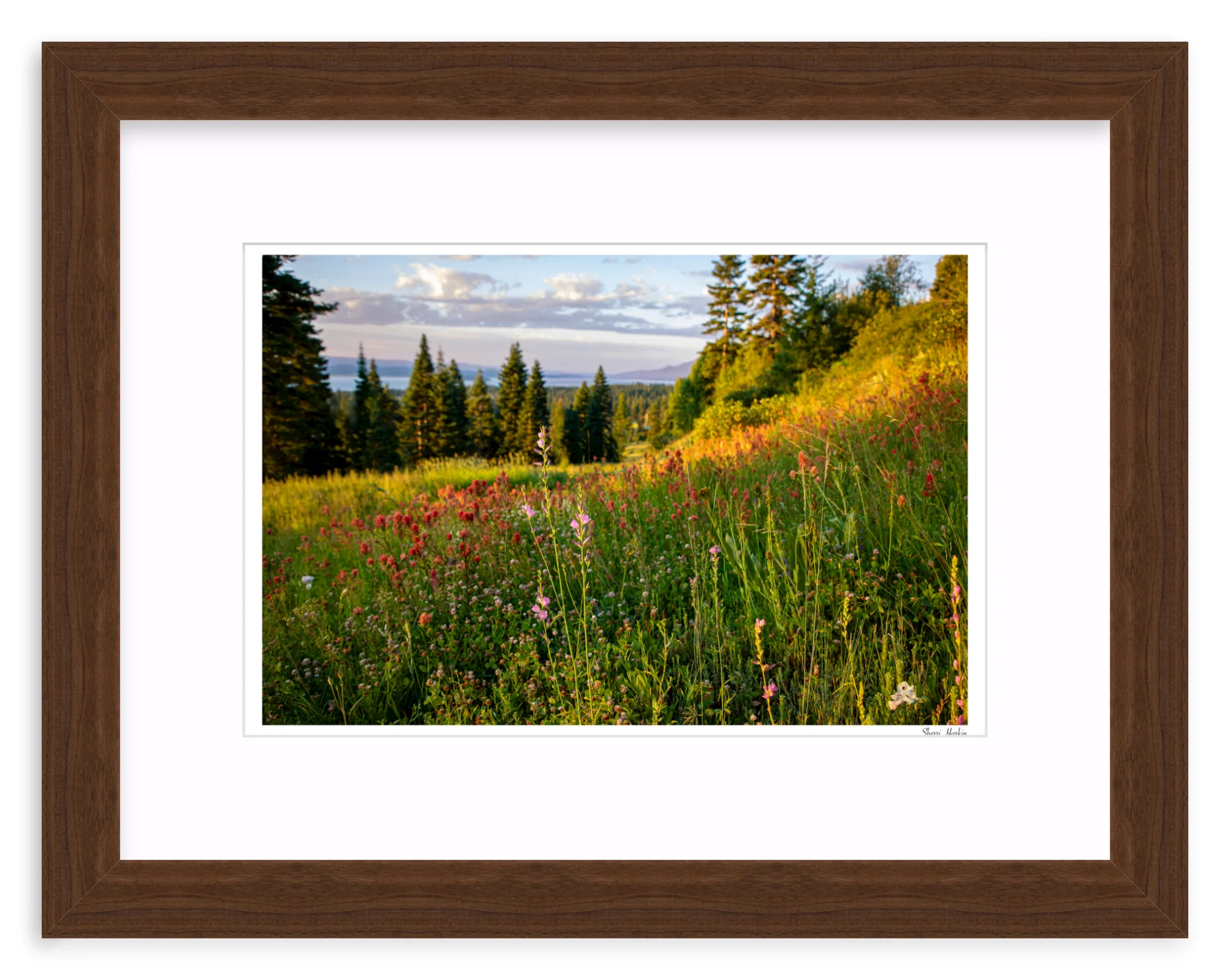 Wildflowers - Image 7