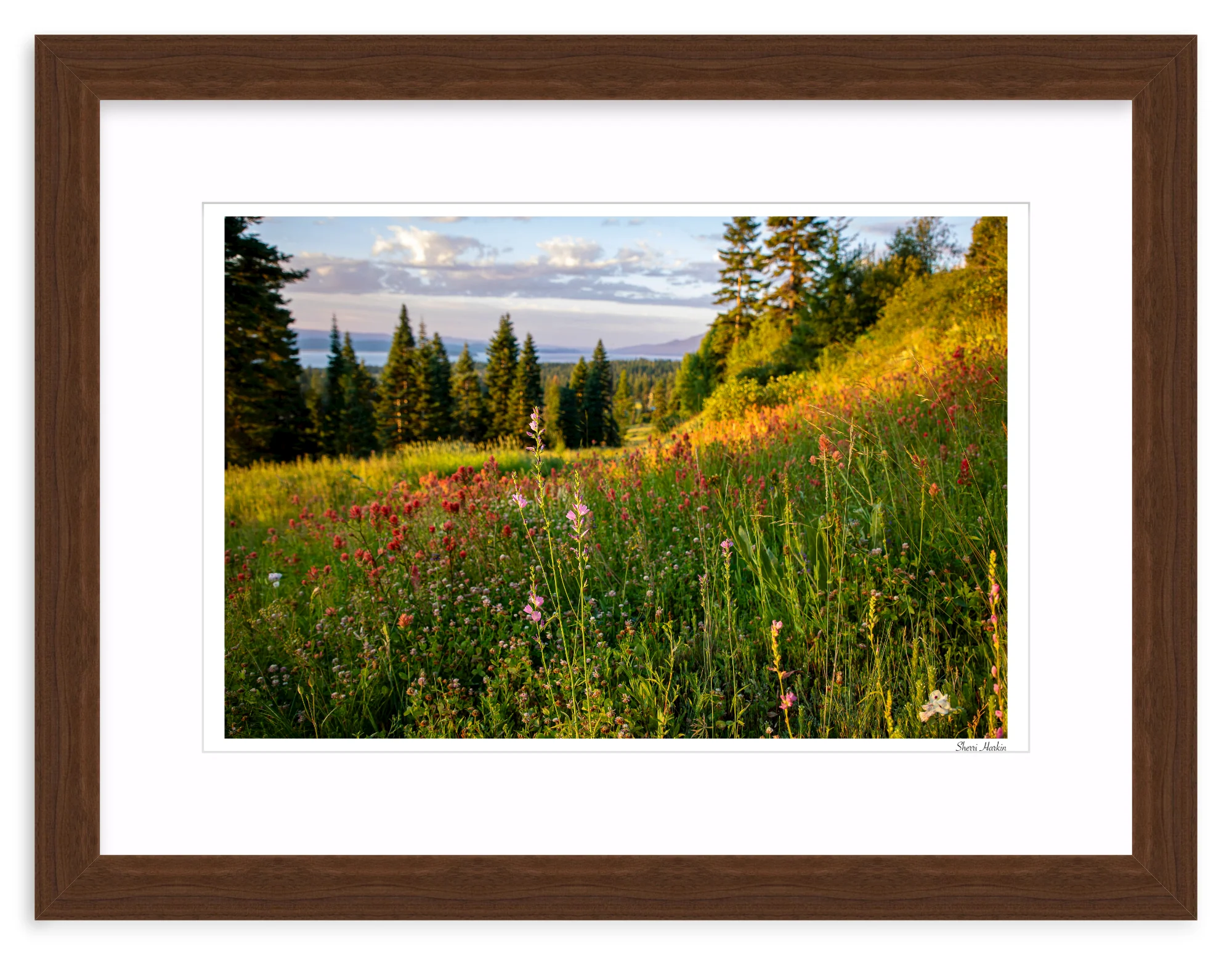 Wildflowers - Image 8
