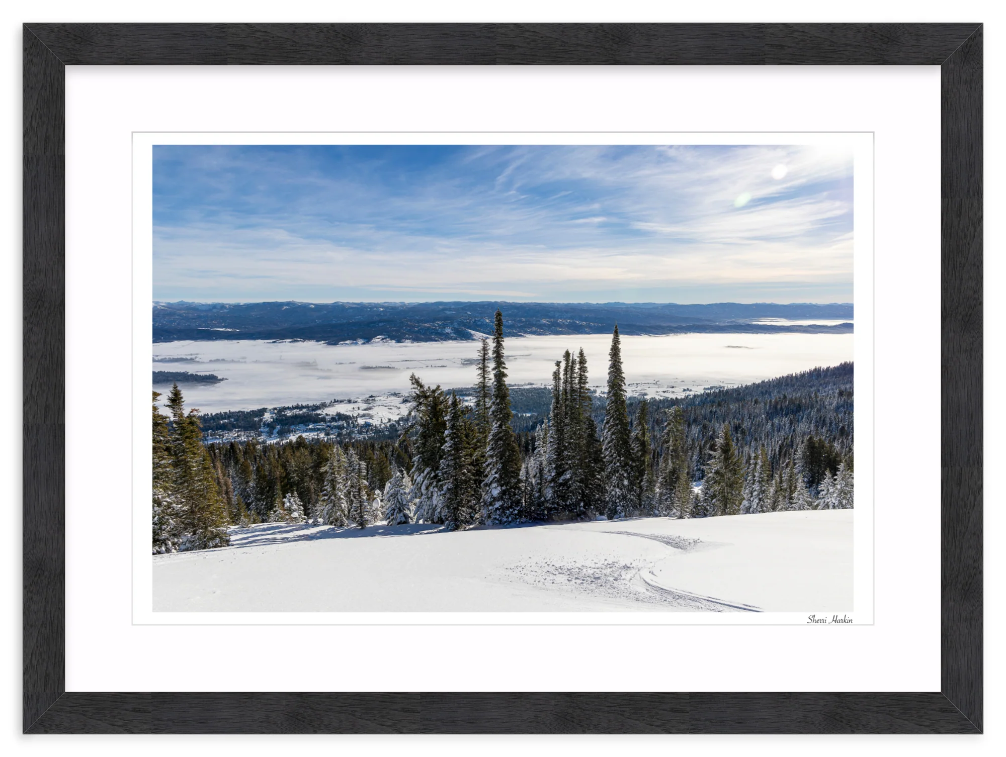 Winter Single Track - Image 15