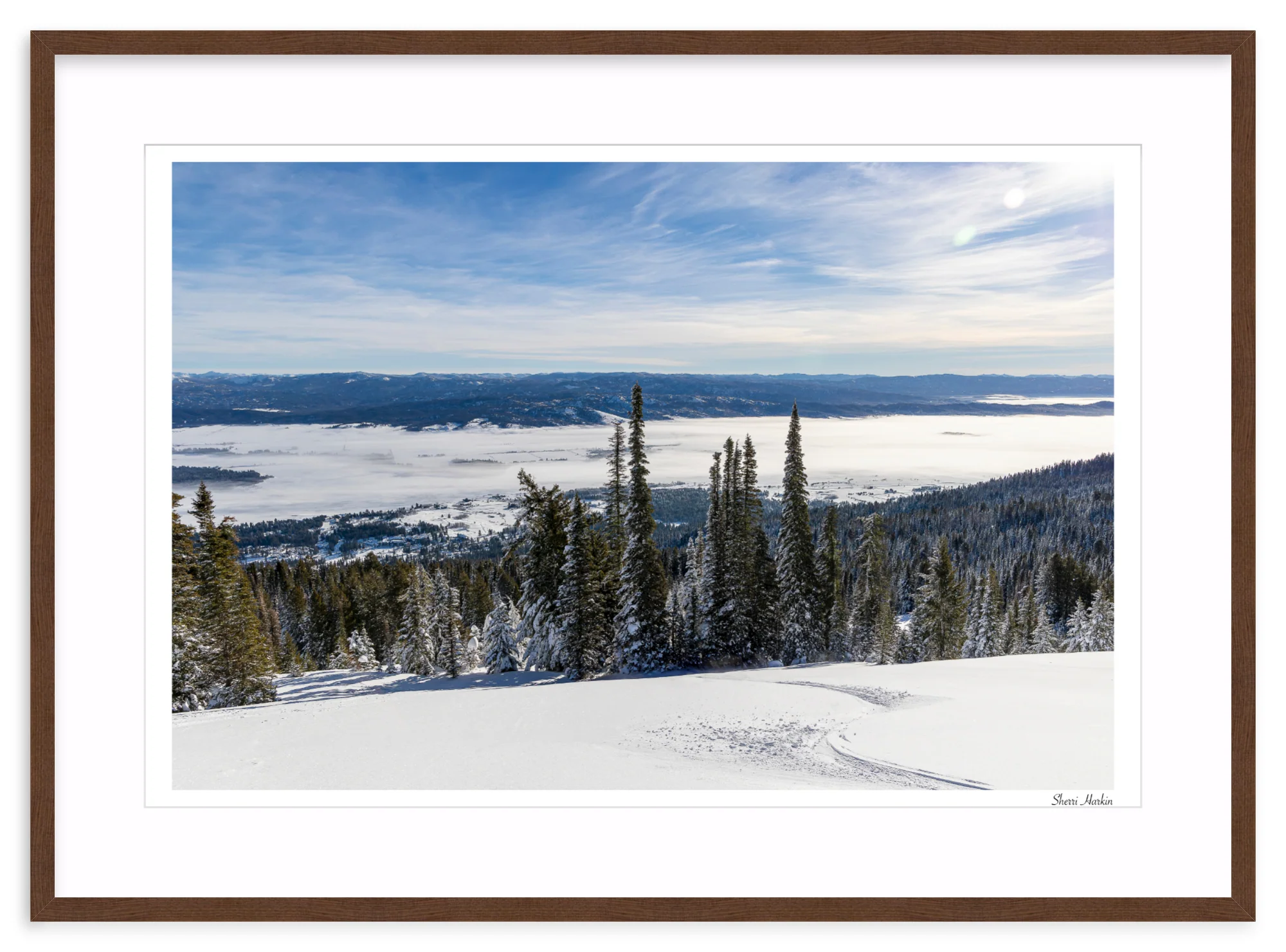 Winter Single Track - Image 6