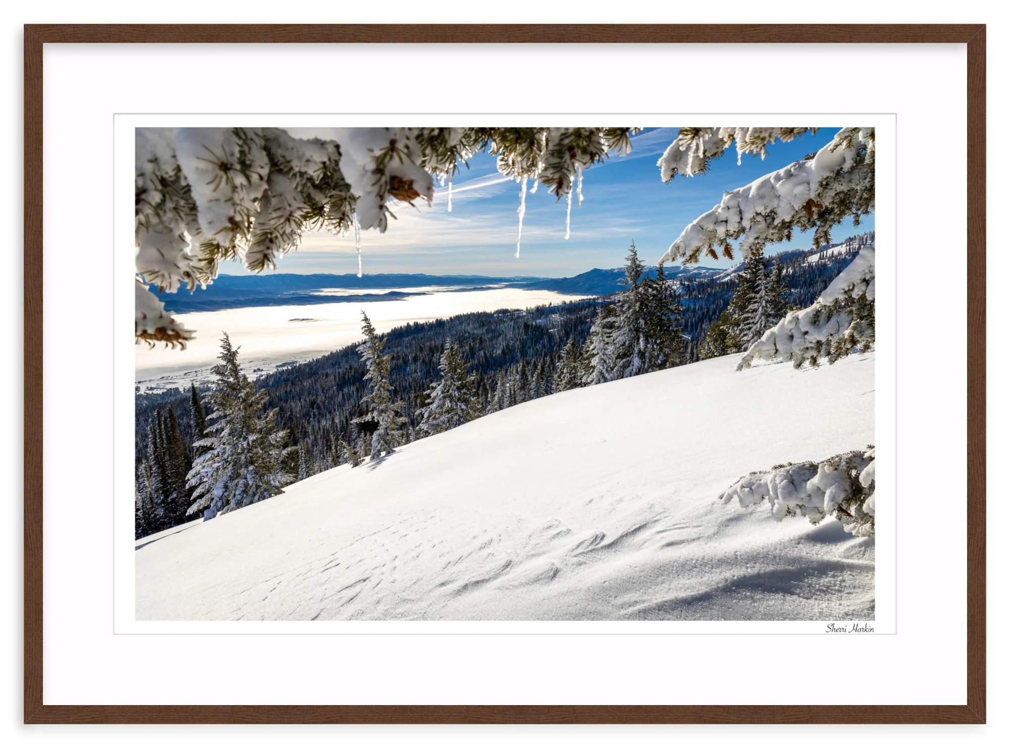 Winter View - Image 6