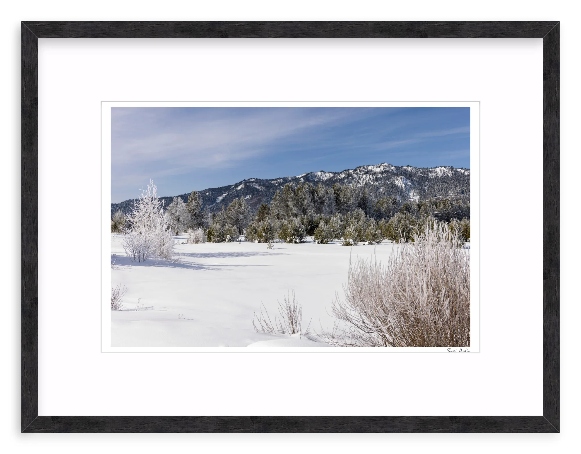 Winter View of Tamarack - Image 10