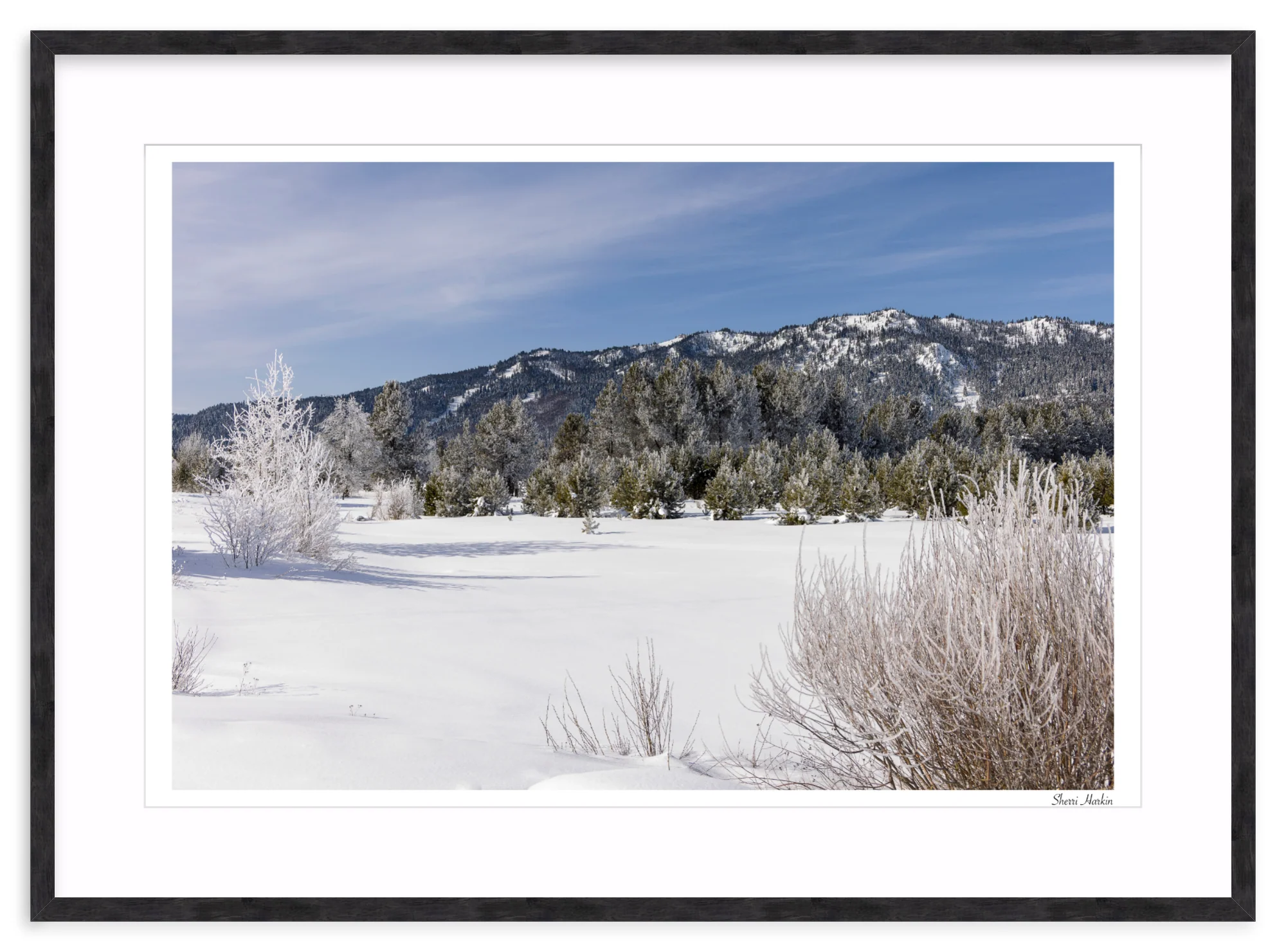 Winter View of Tamarack - Image 12
