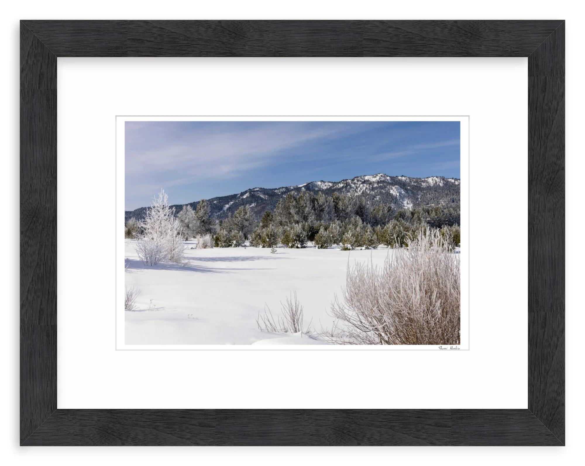 Winter View of Tamarack - Image 13